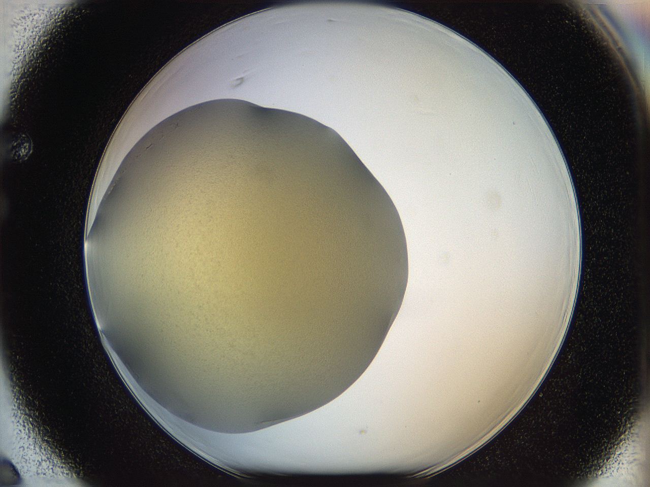 05k0_F6_ImagerDefaults_3.jpg