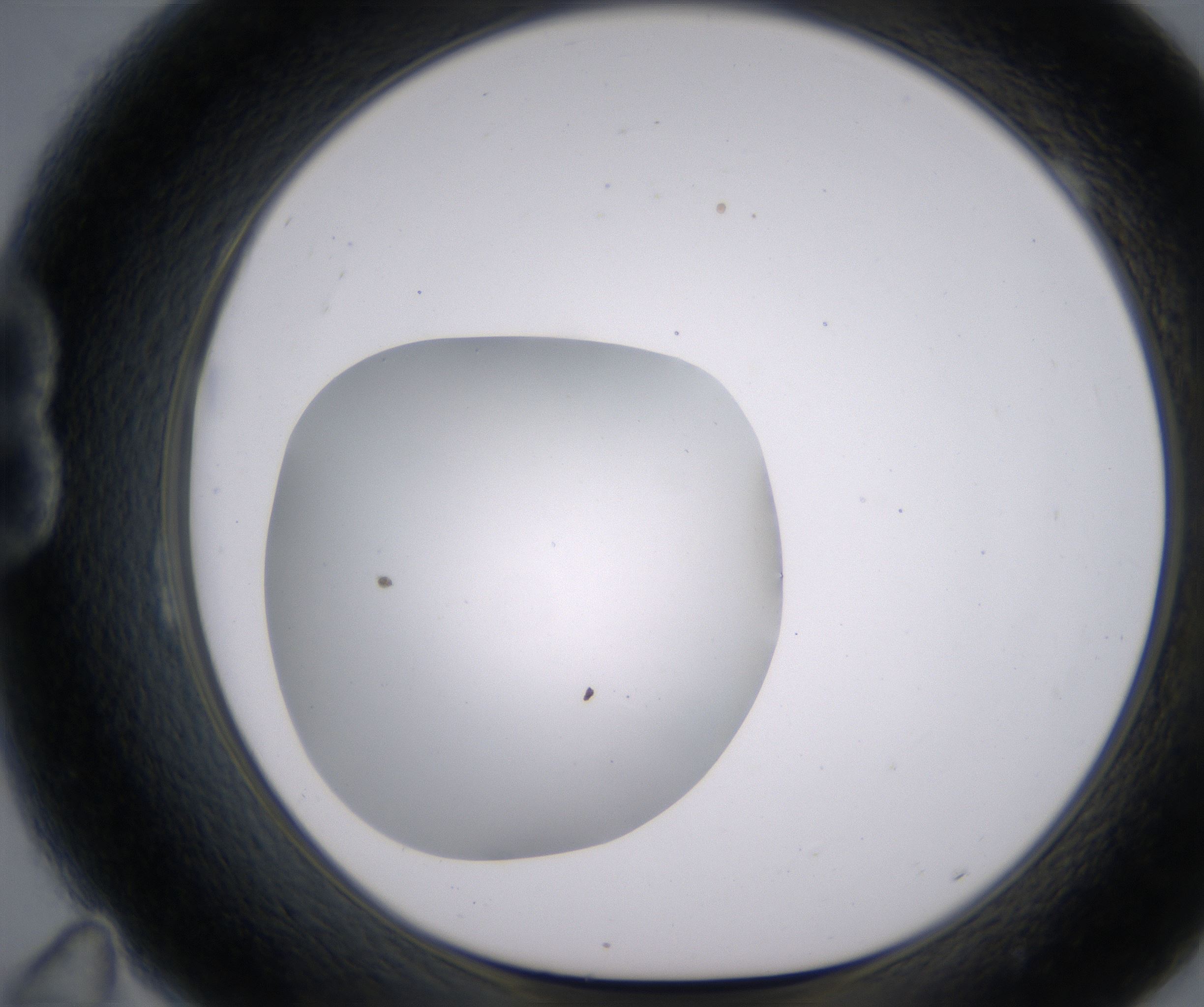 B11_HighResolution_Clear_1.jpg