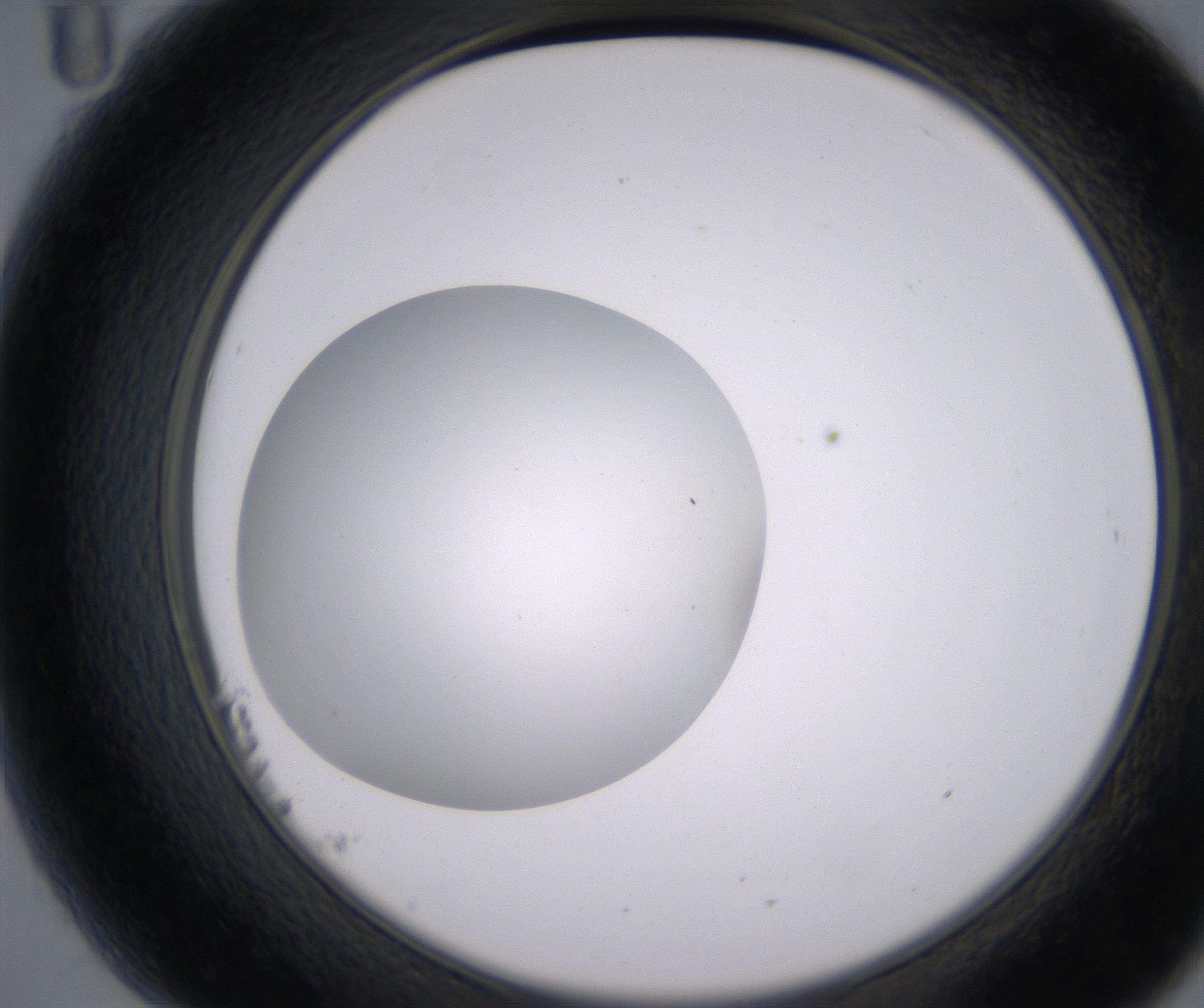 B11_HighResolution_Clear_2.jpg