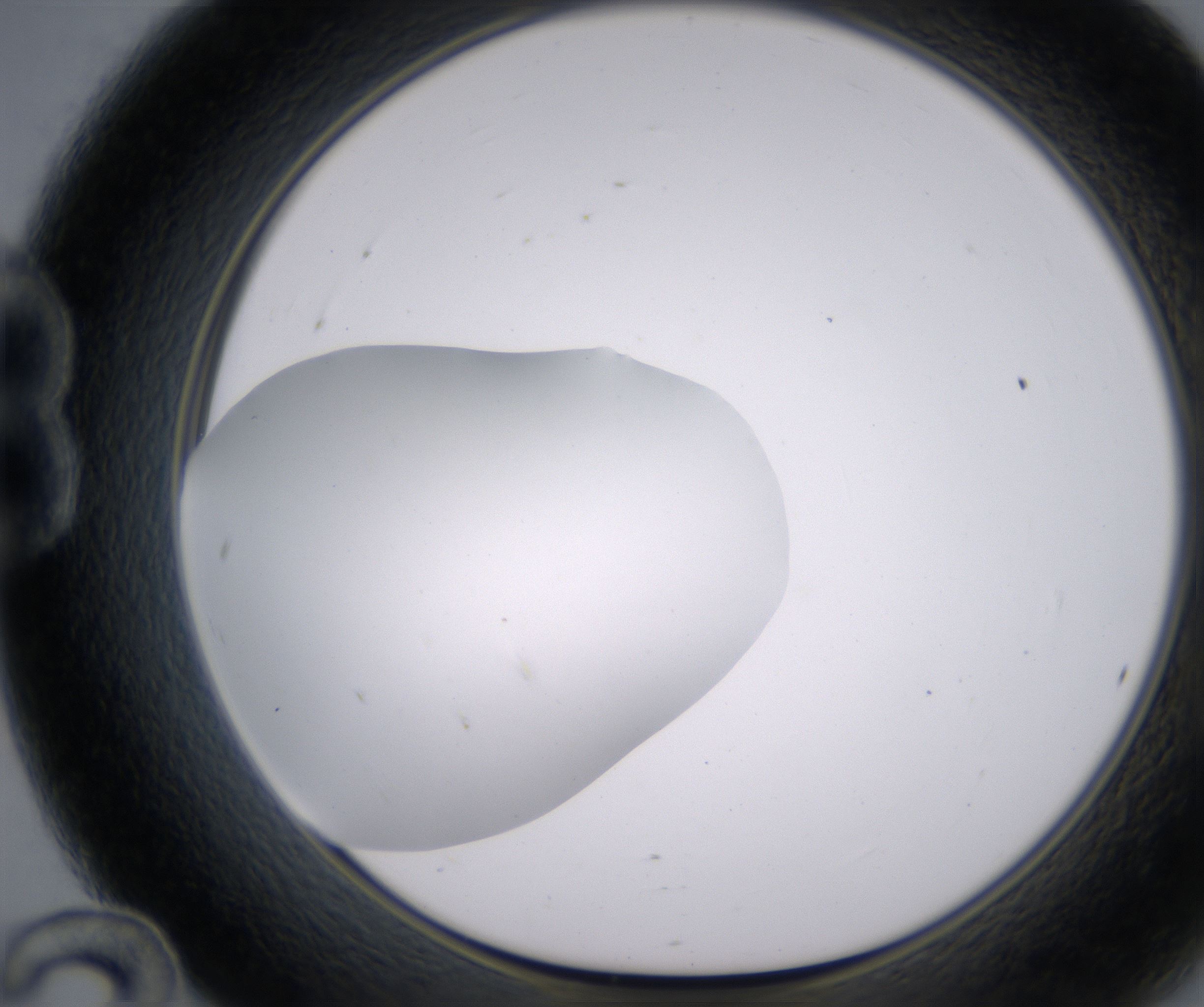 B12_HighResolution_Clear_1.jpg