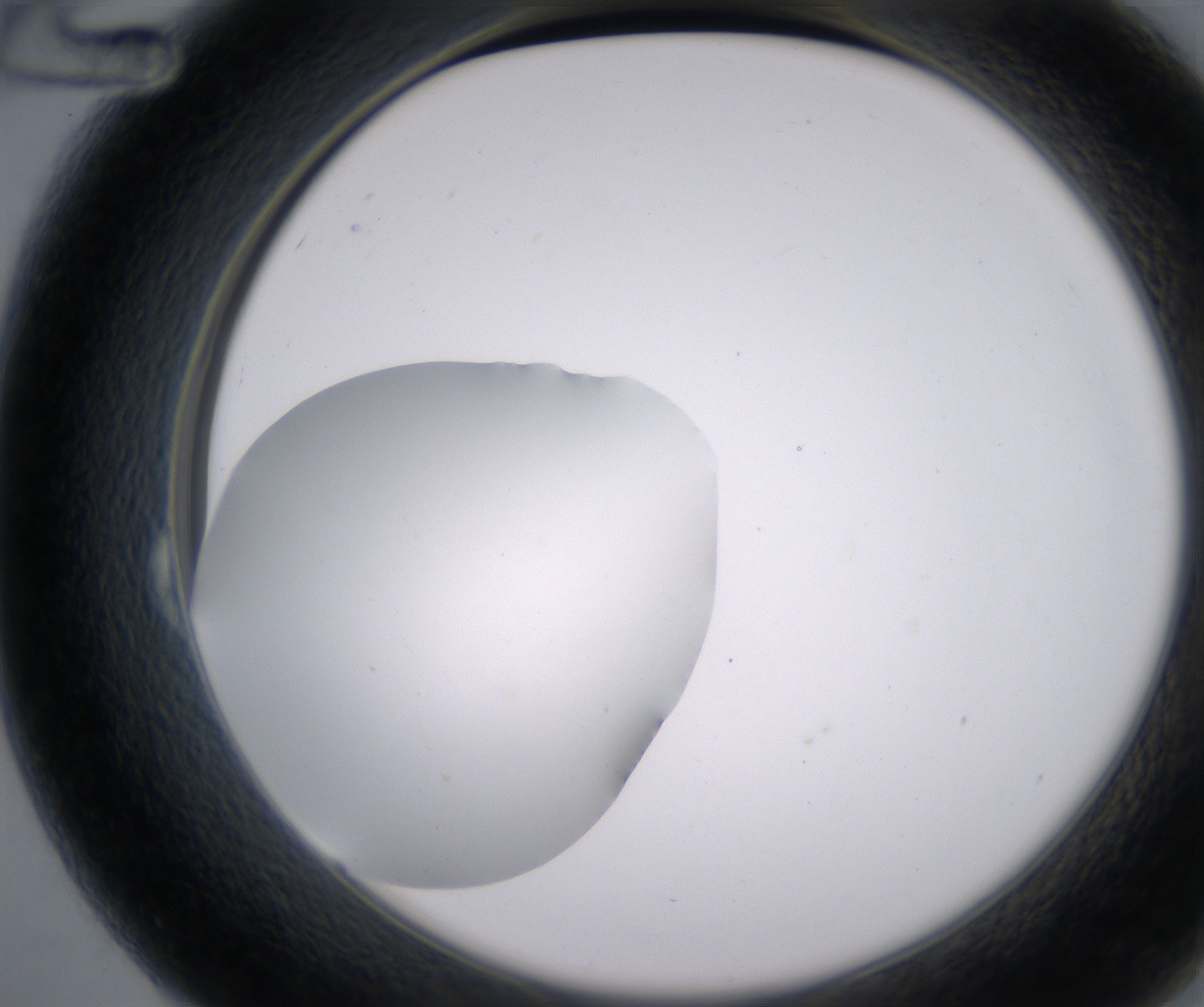 B12_HighResolution_Clear_2.jpg