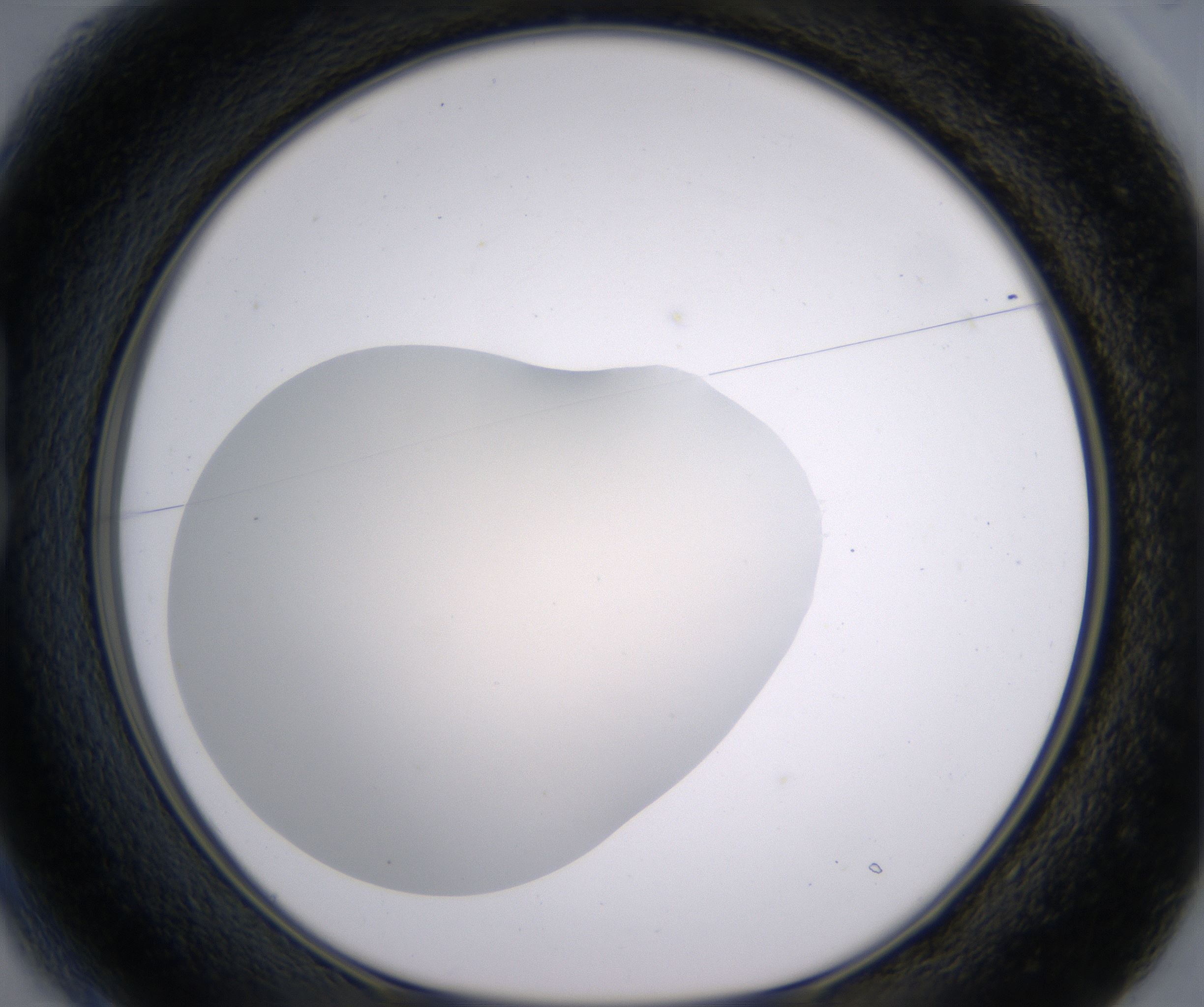 B1_HighResolution_Clear_1.jpg