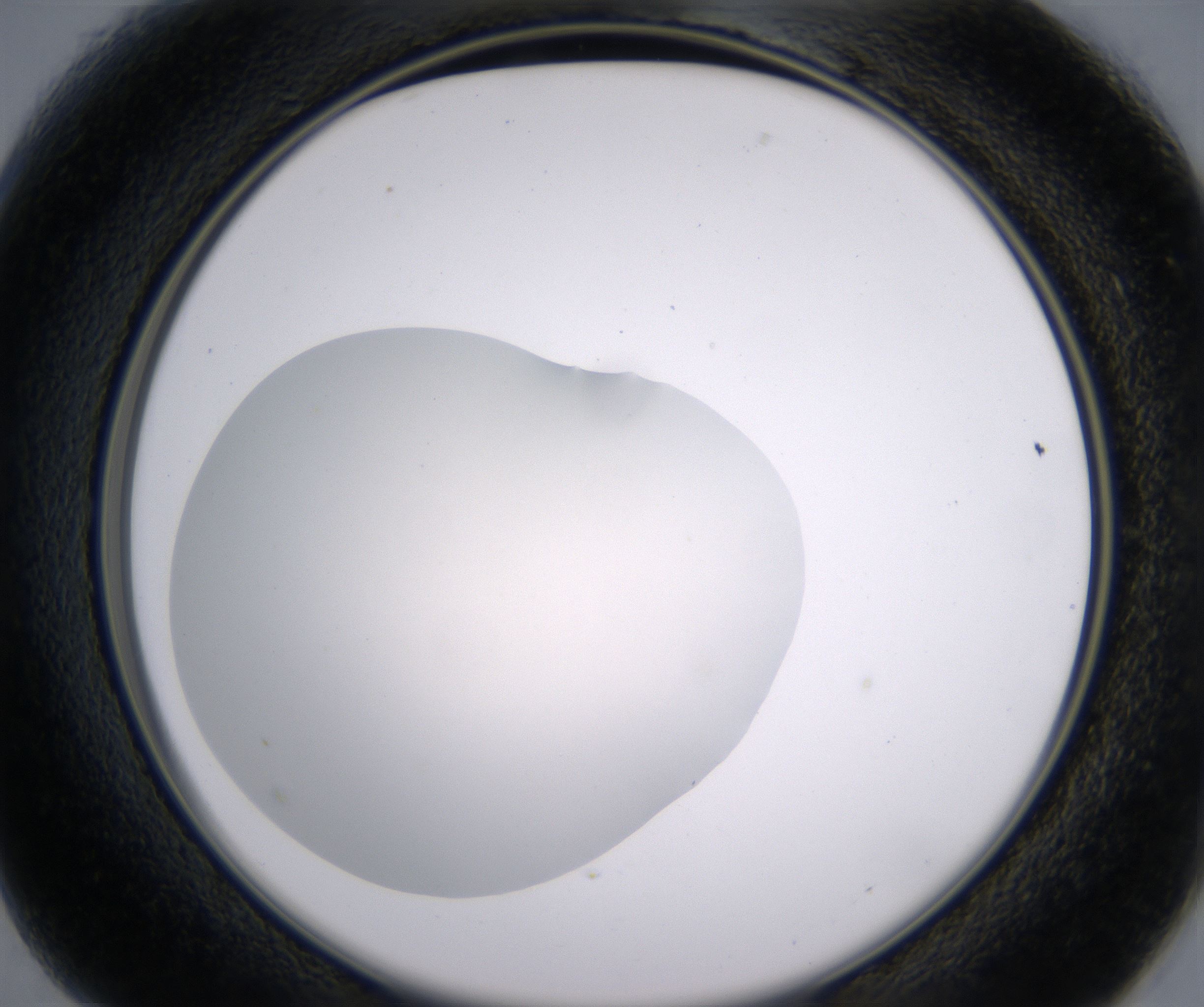 B1_HighResolution_Clear_2.jpg