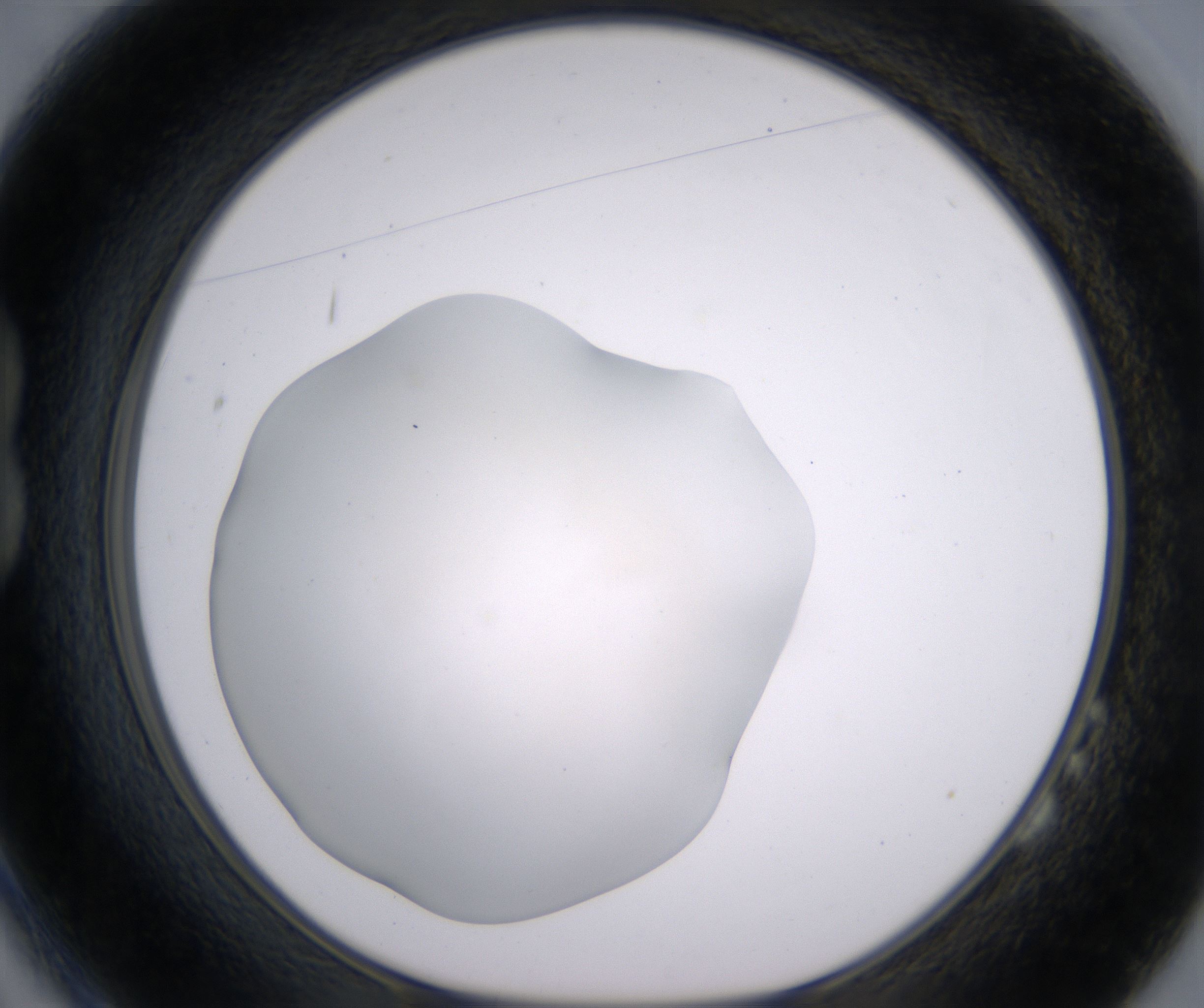B2_HighResolution_Clear_1.jpg