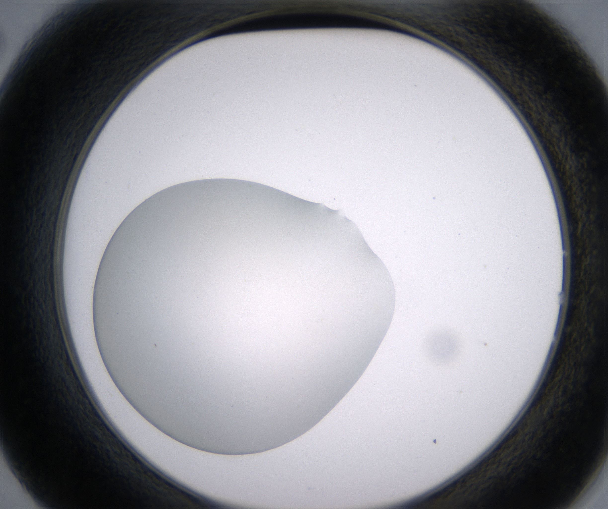 B2_HighResolution_Clear_2.jpg