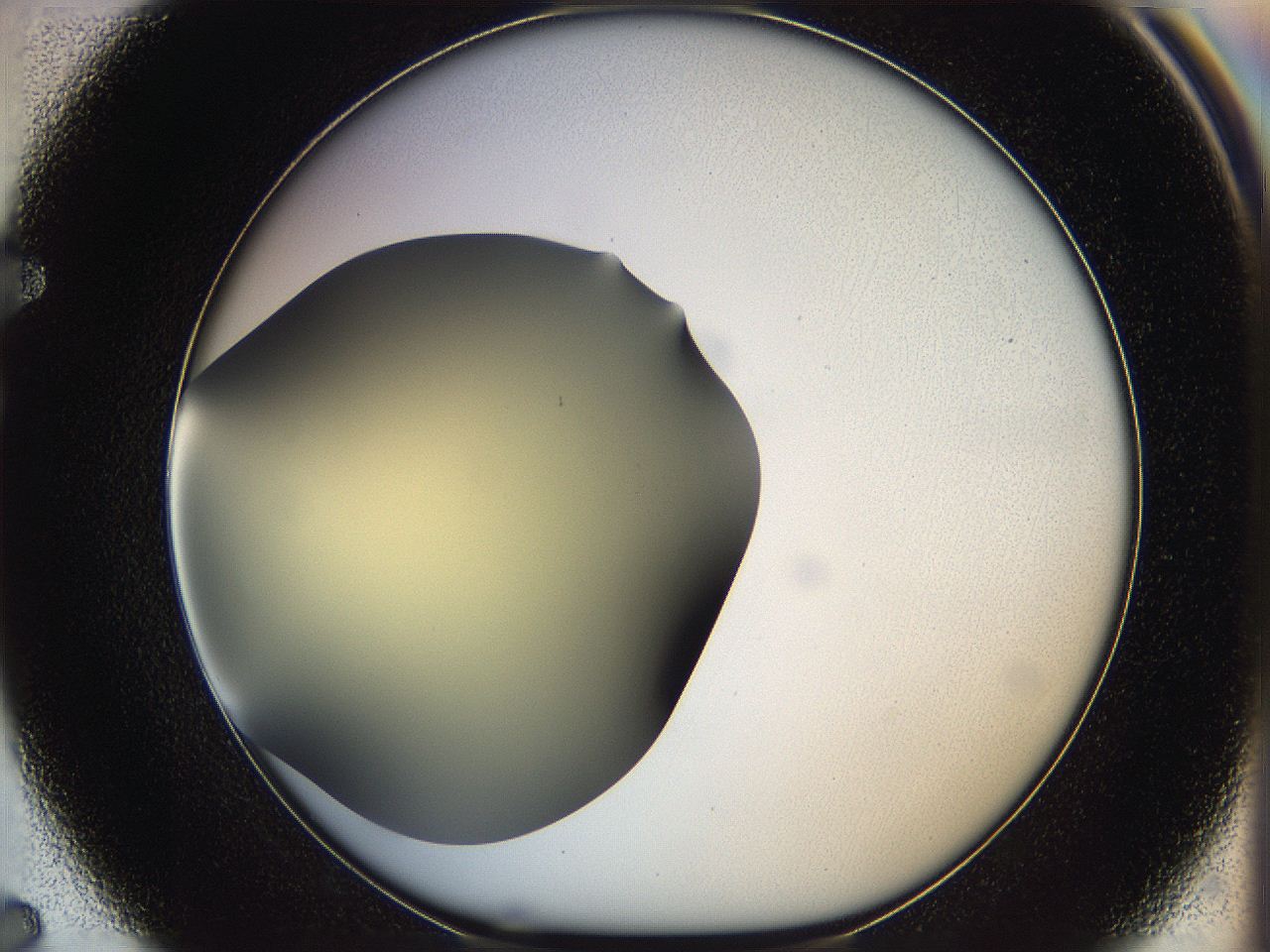 05k0_F7_ImagerDefaults_0.jpg