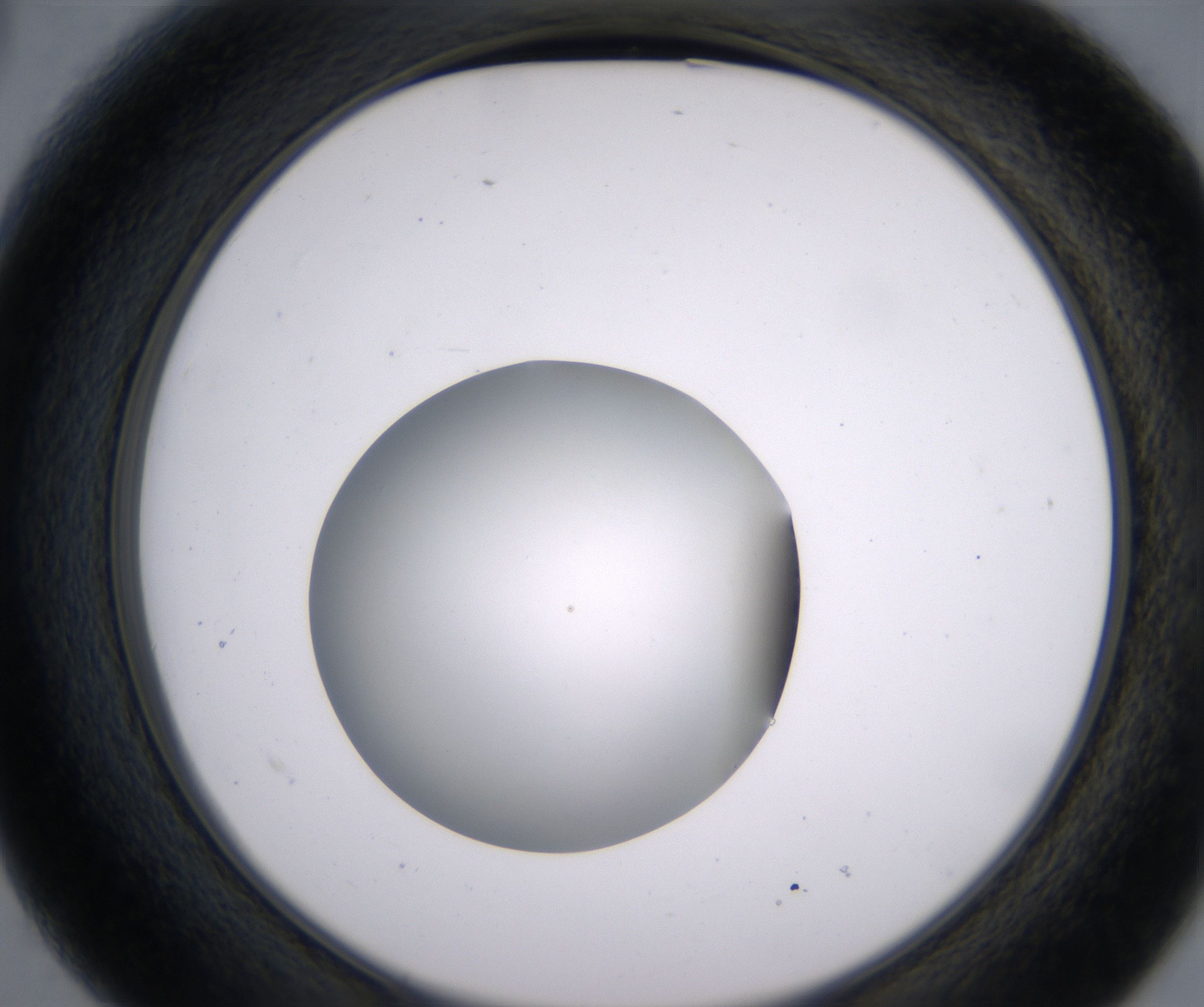 B3_HighResolution_Clear_2.jpg