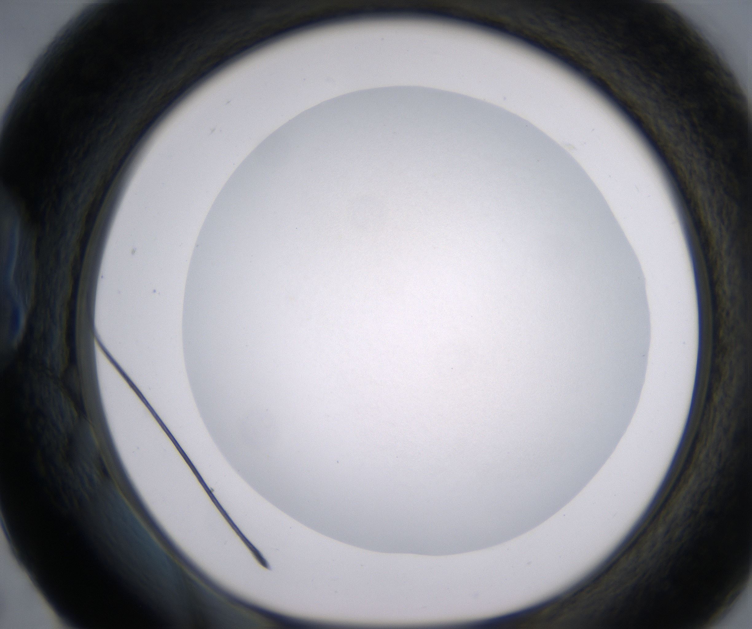 B5_HighResolution_Clear_1.jpg