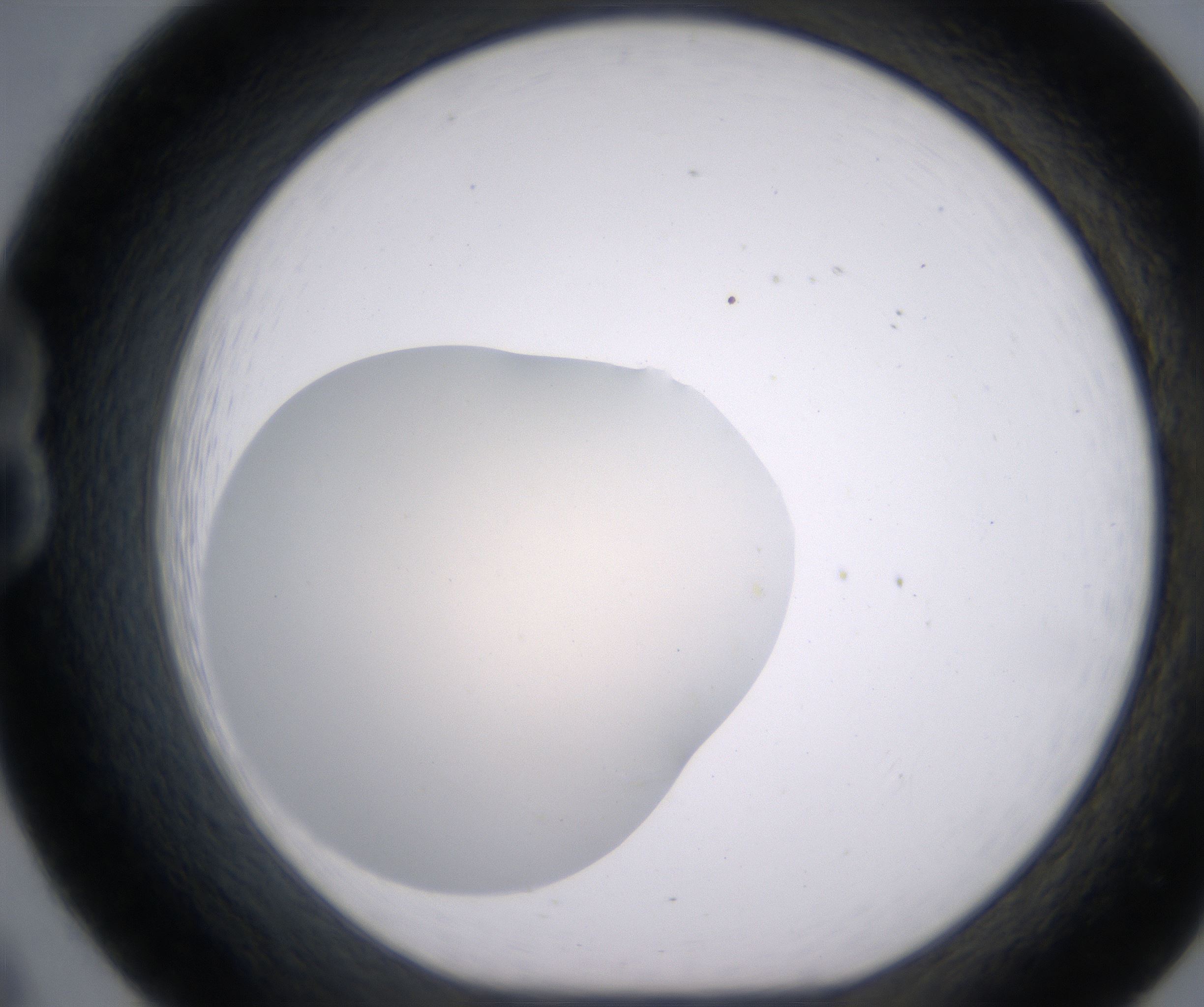 B8_HighResolution_Clear_1.jpg