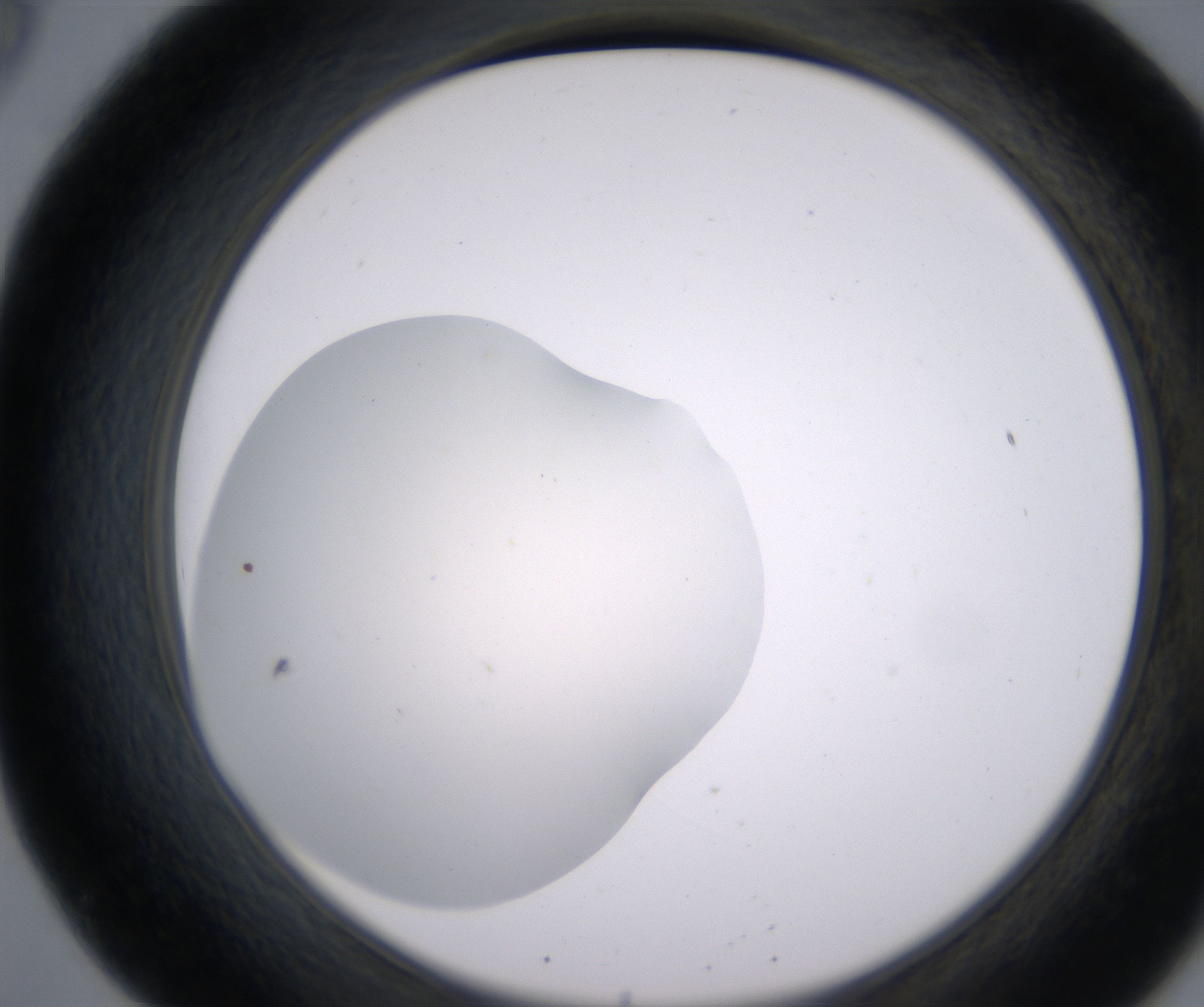 B8_HighResolution_Clear_2.jpg