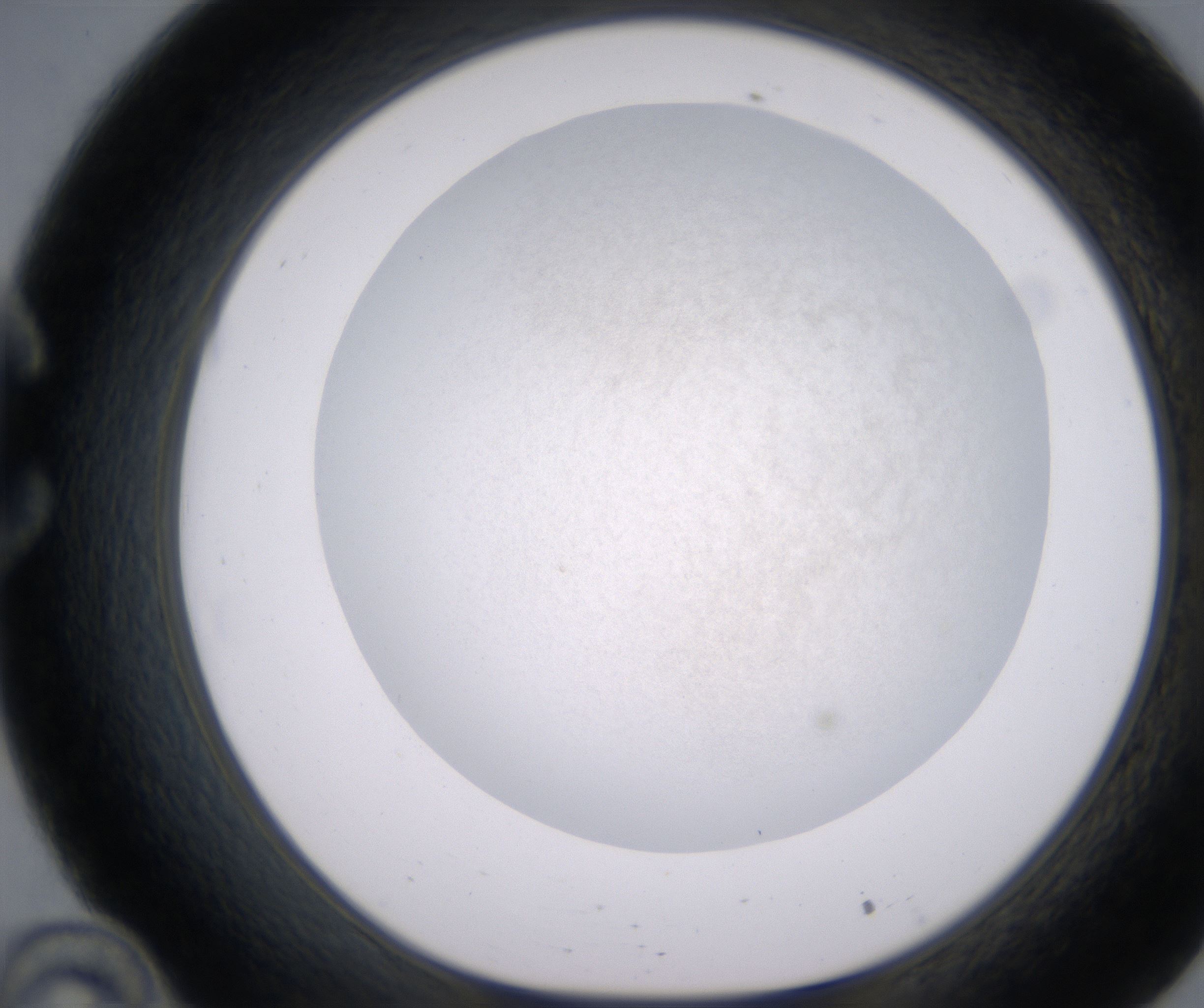 C10_HighResolution_Precipitate_1.jpg