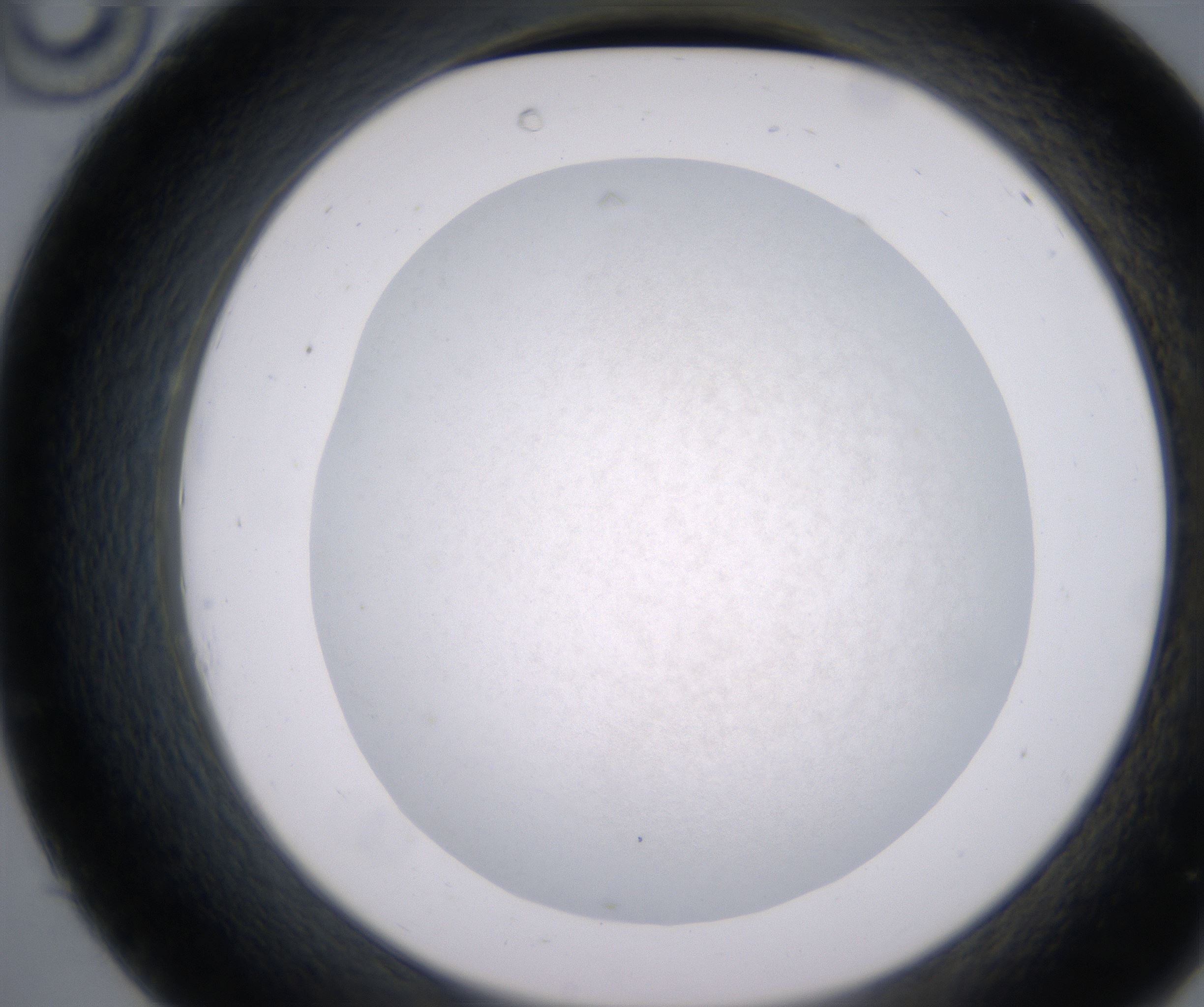 C10_HighResolution_Precipitate_2.jpg