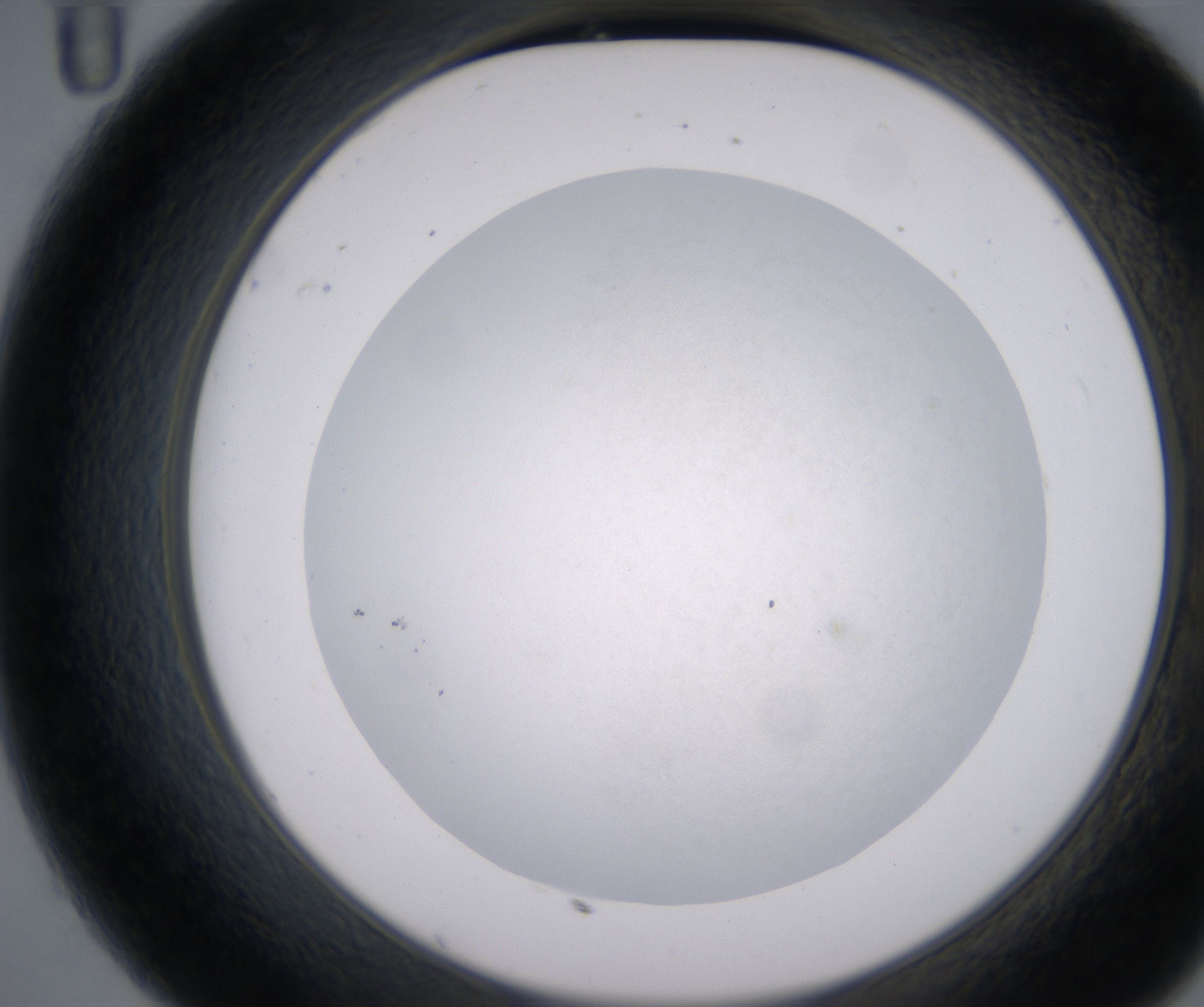 C11_HighResolution_Clear_2.jpg