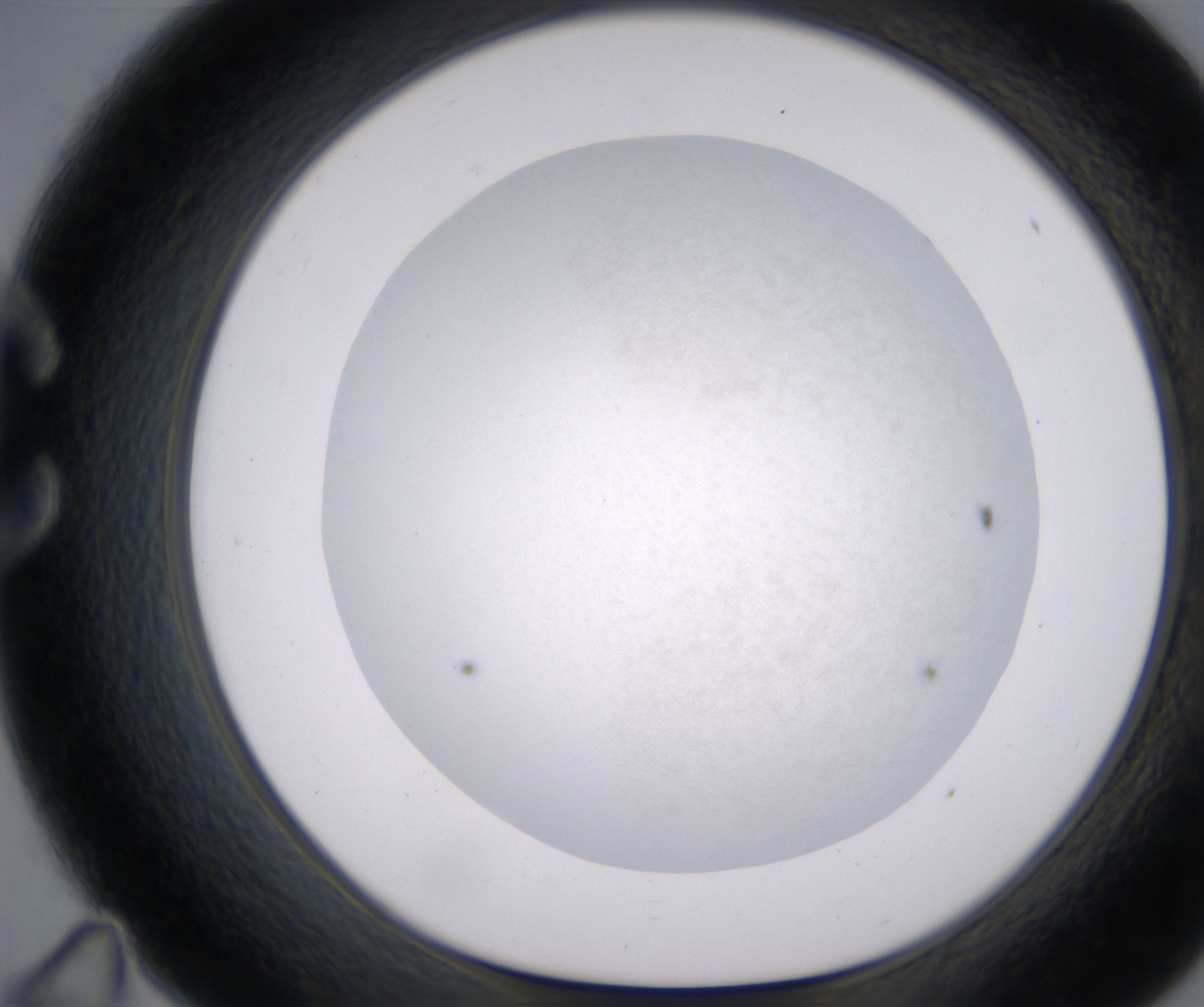 C11_HighResolution_Precipitate_1.jpg