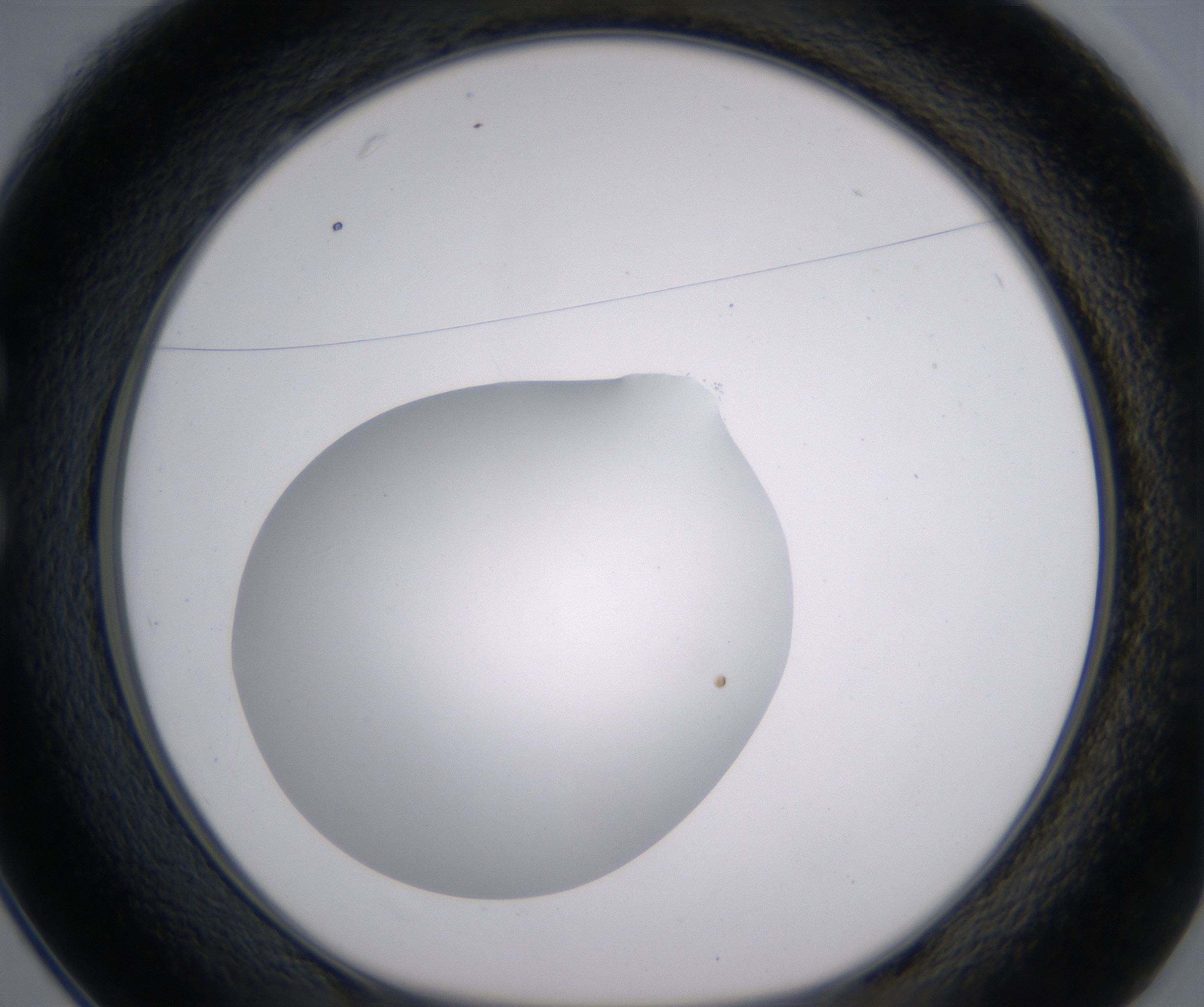C1_HighResolution_Clear_1.jpg