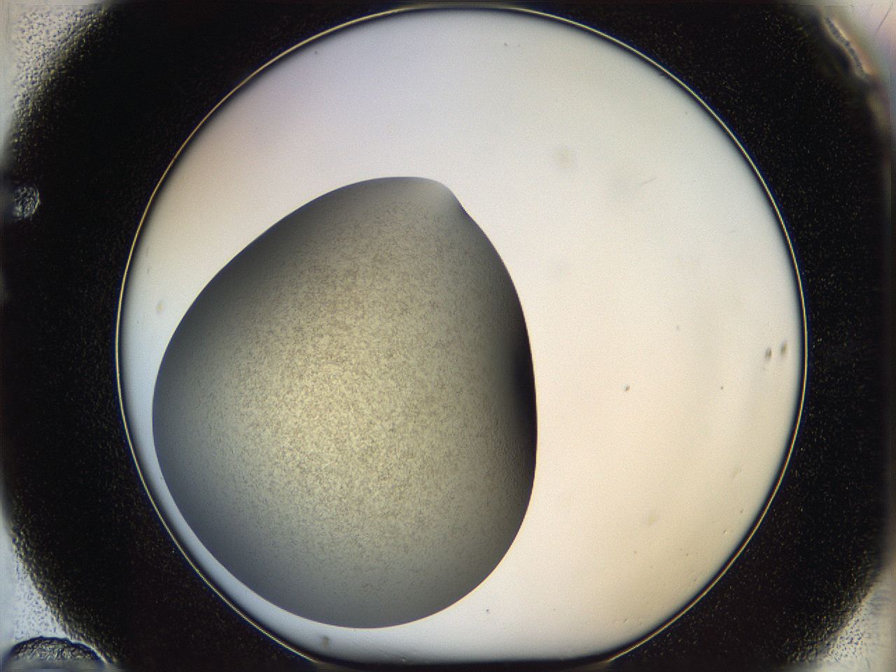 05k0_F10_ImagerDefaults_2.jpg