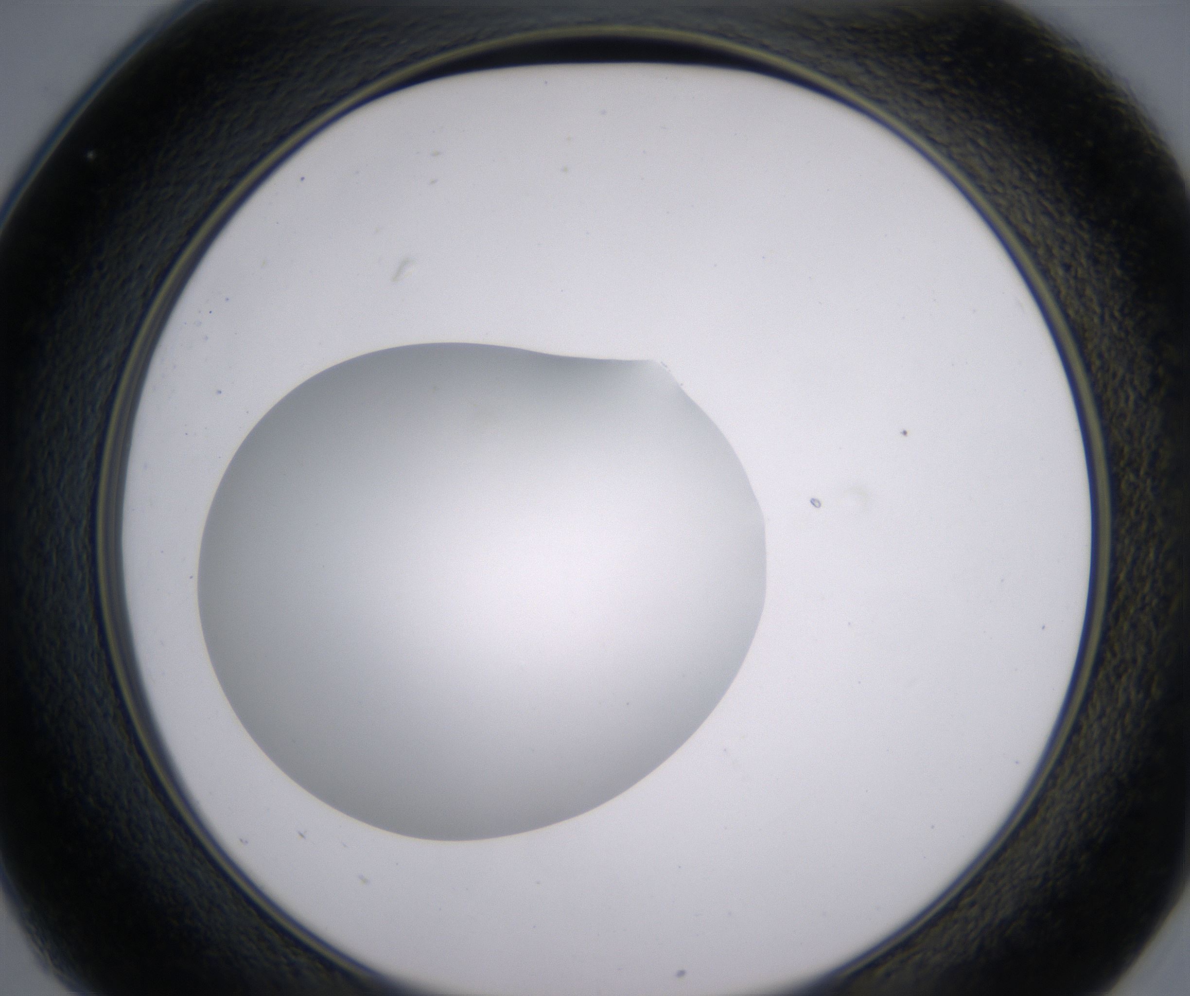 C1_HighResolution_Clear_2.jpg