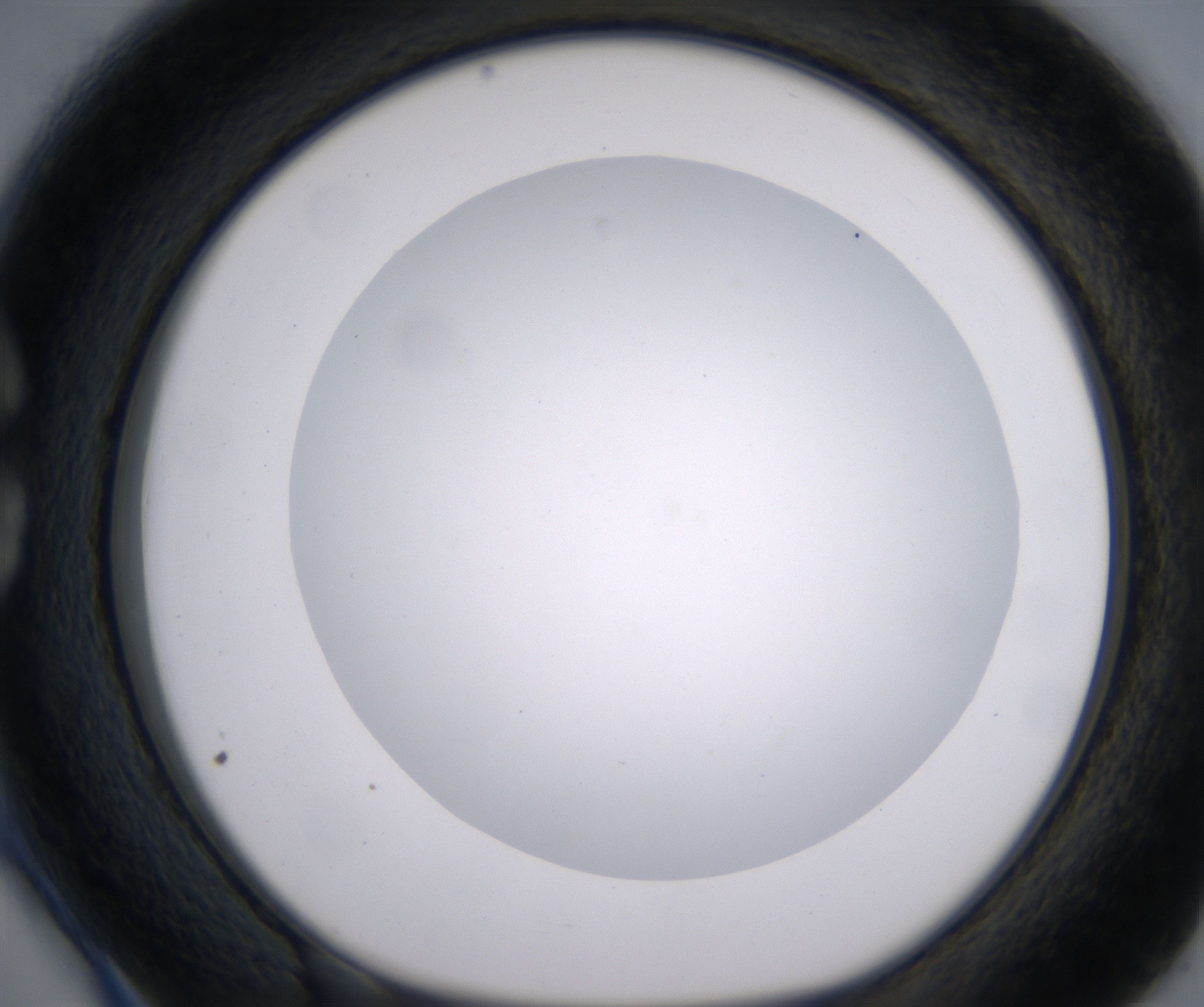 C3_HighResolution_Clear_1.jpg