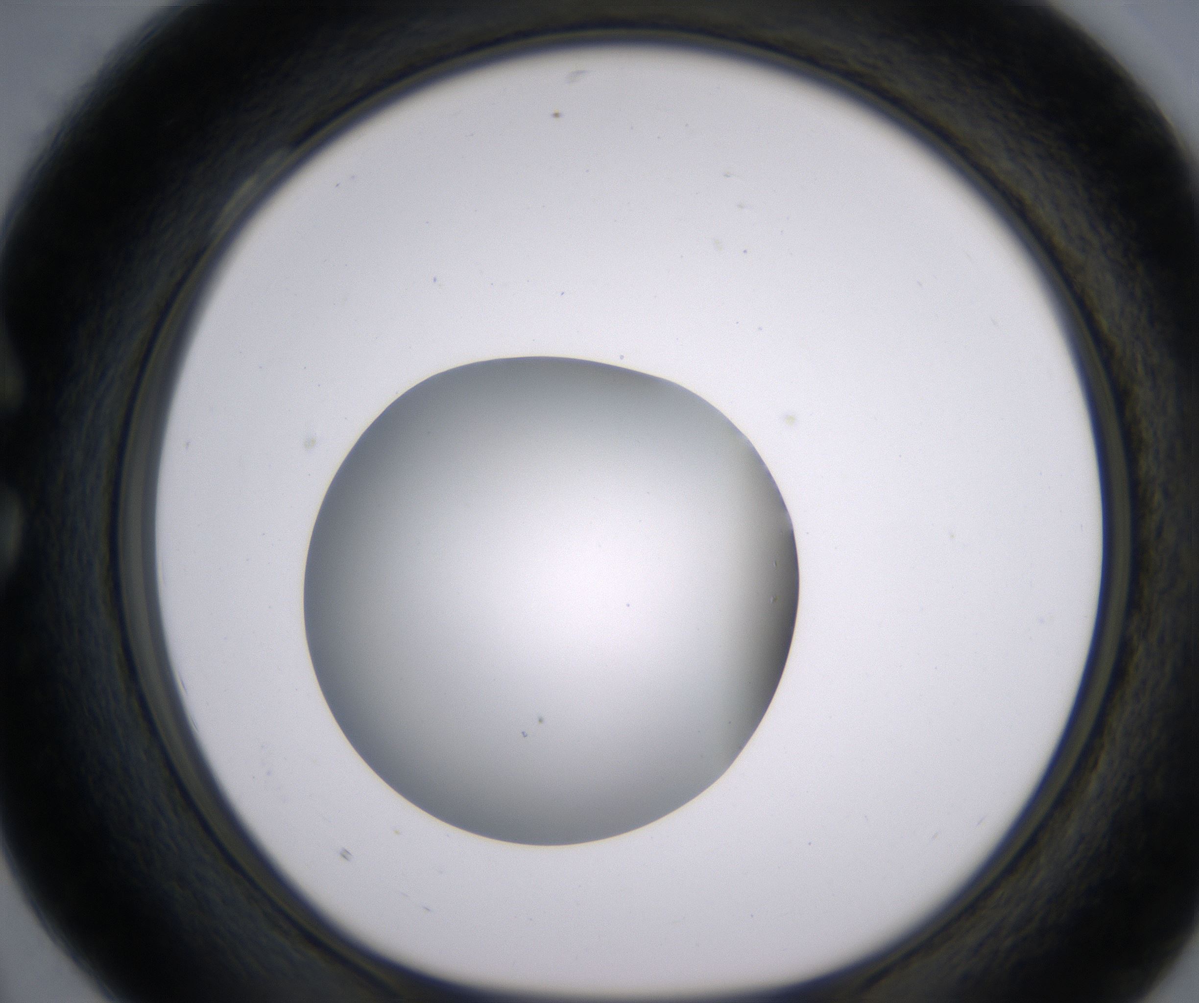 C4_HighResolution_Clear_1.jpg