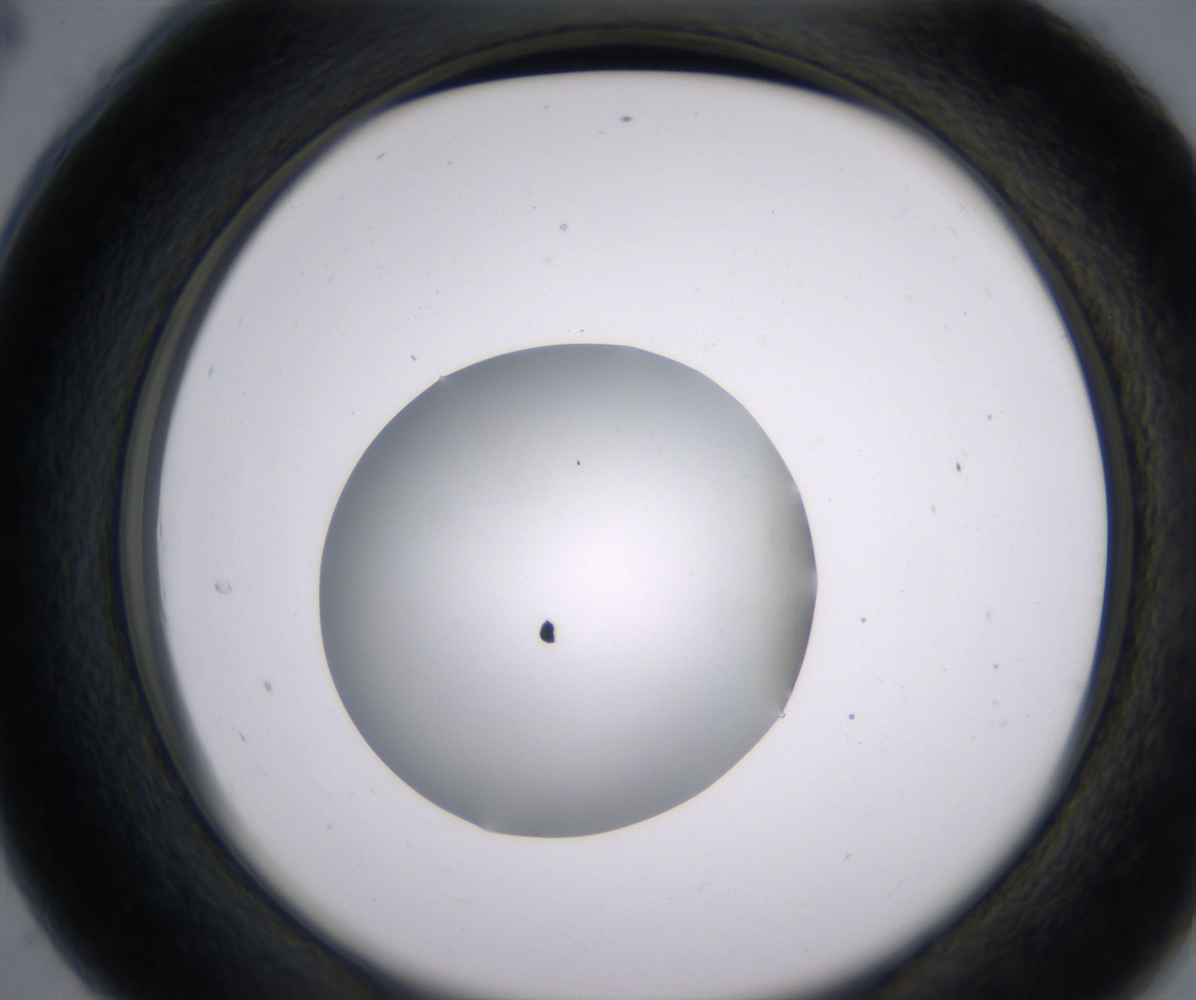 C4_HighResolution_Clear_2.jpg