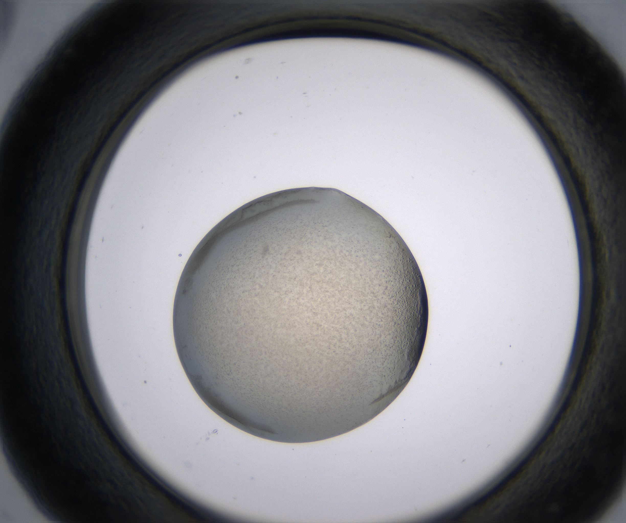 C5_HighResolution_Precipitate_2.jpg