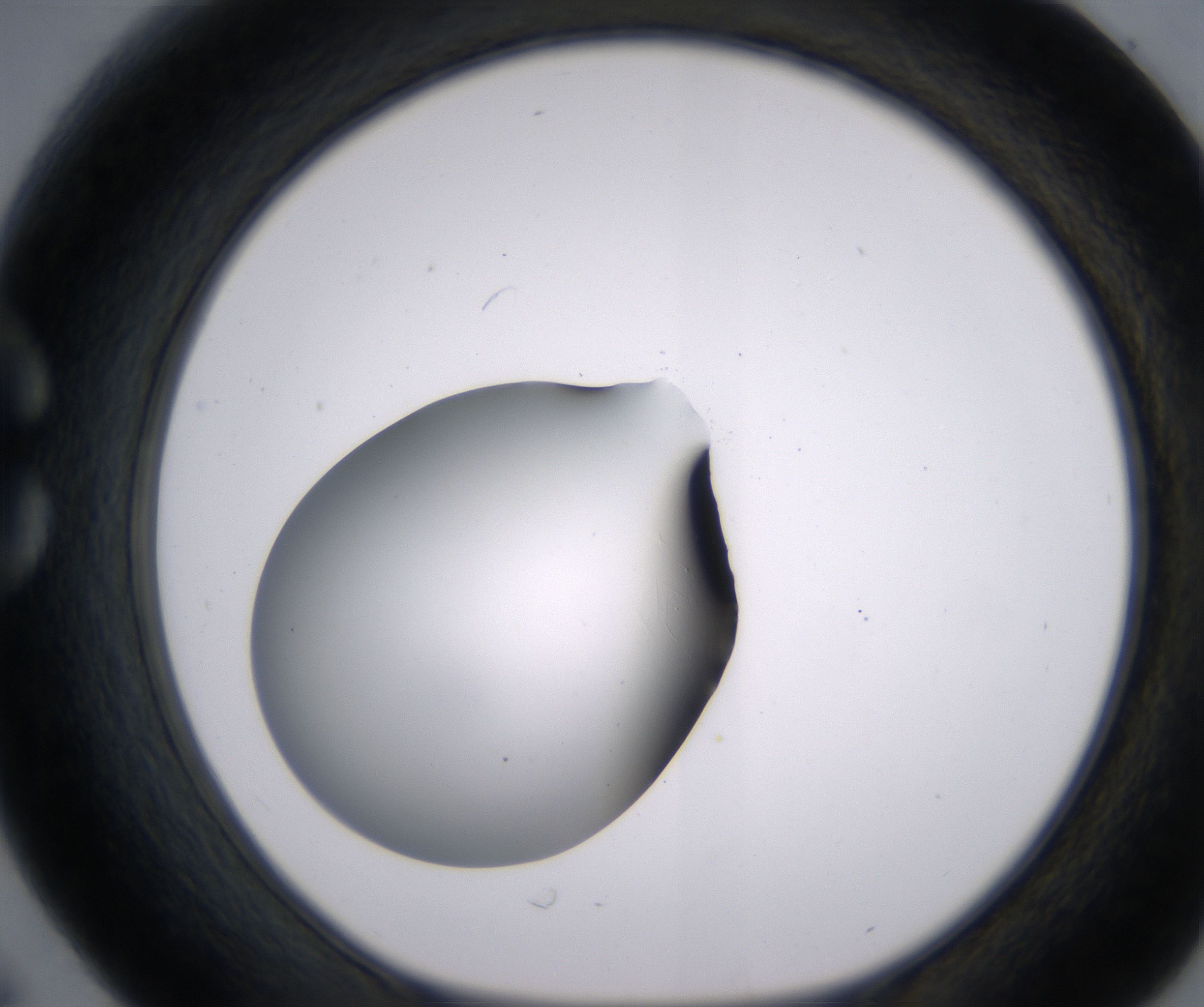 C6_HighResolution_Clear_1.jpg