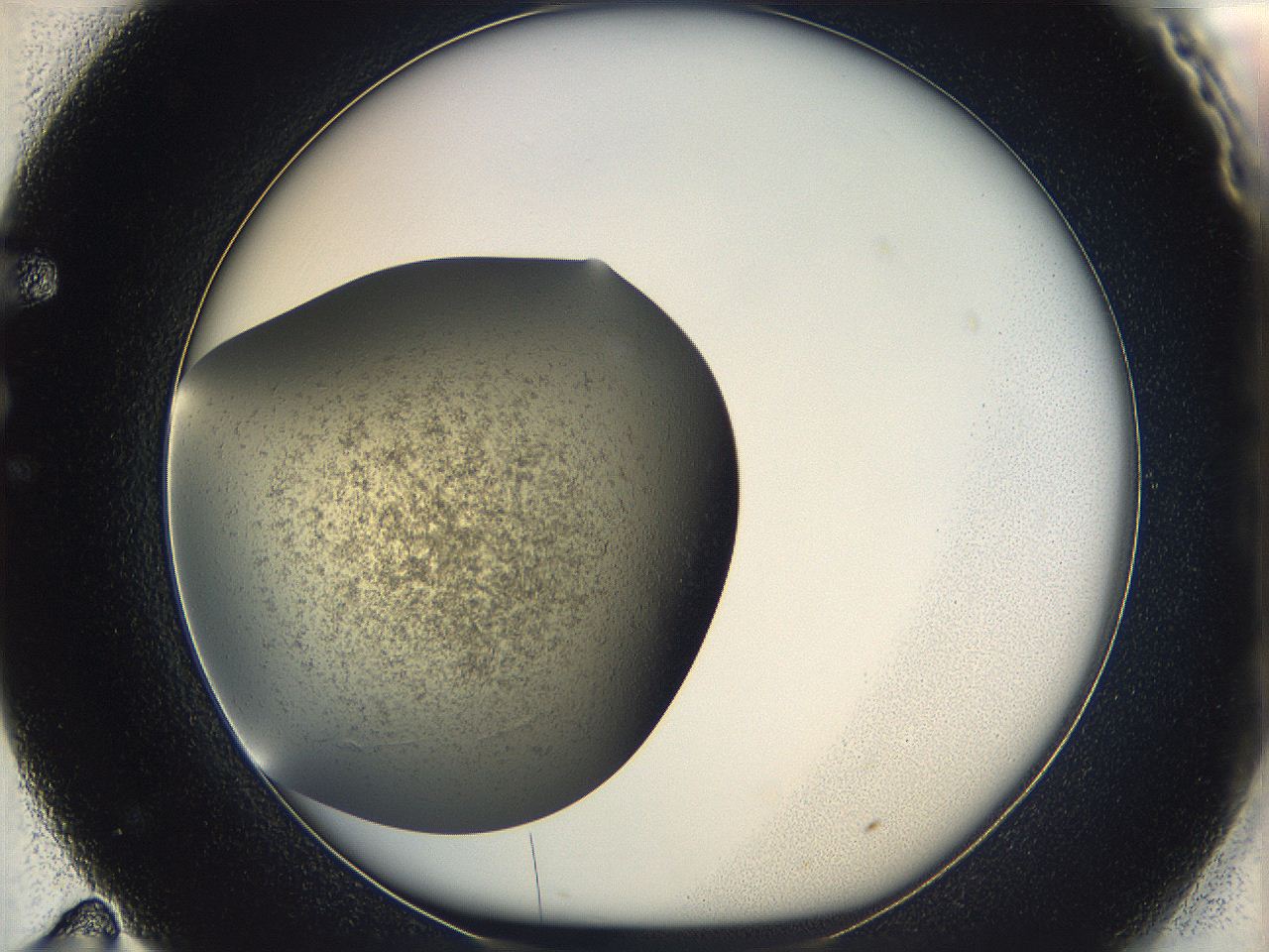 05k0_F11_ImagerDefaults_2.jpg