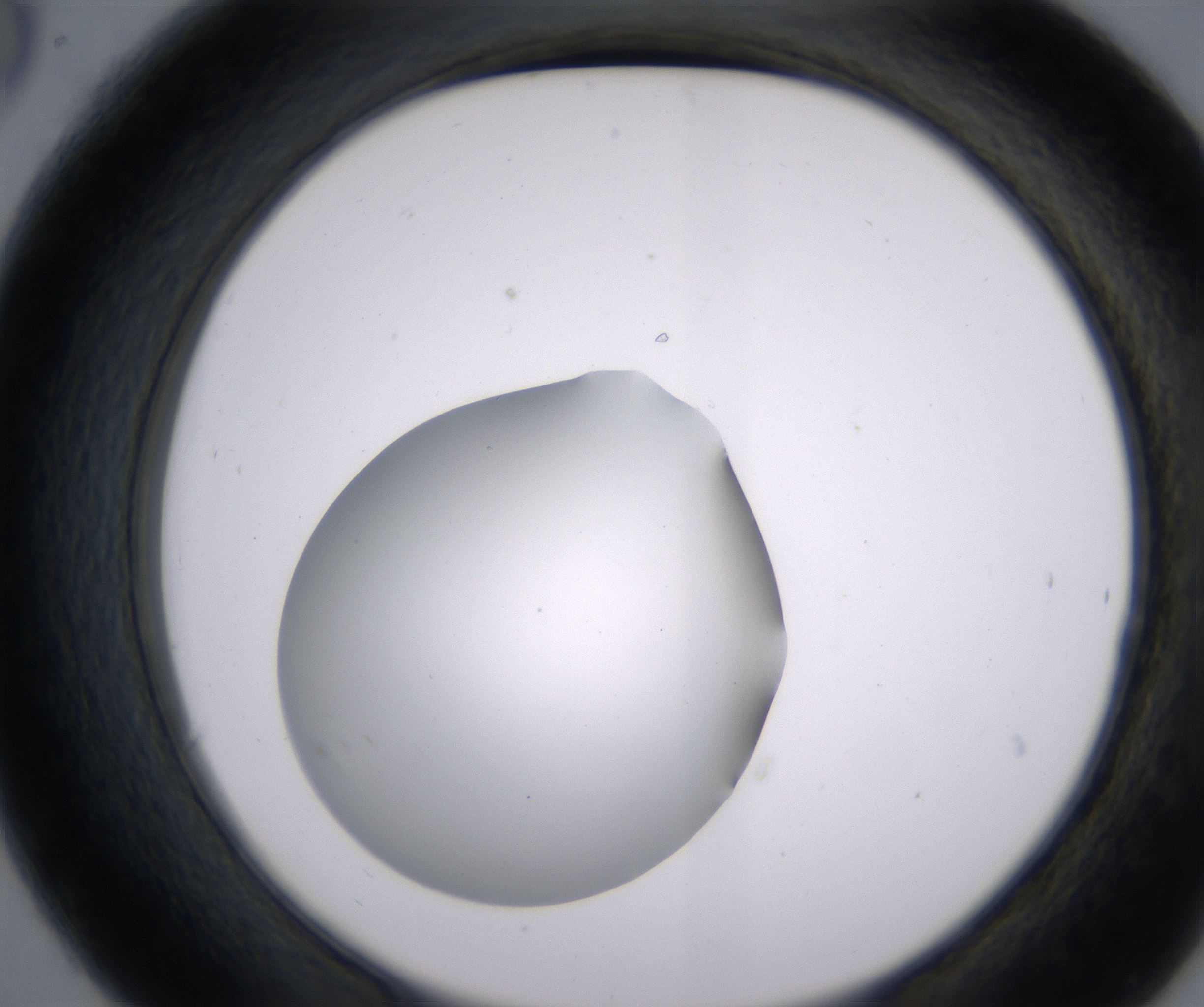 C6_HighResolution_Clear_2.jpg