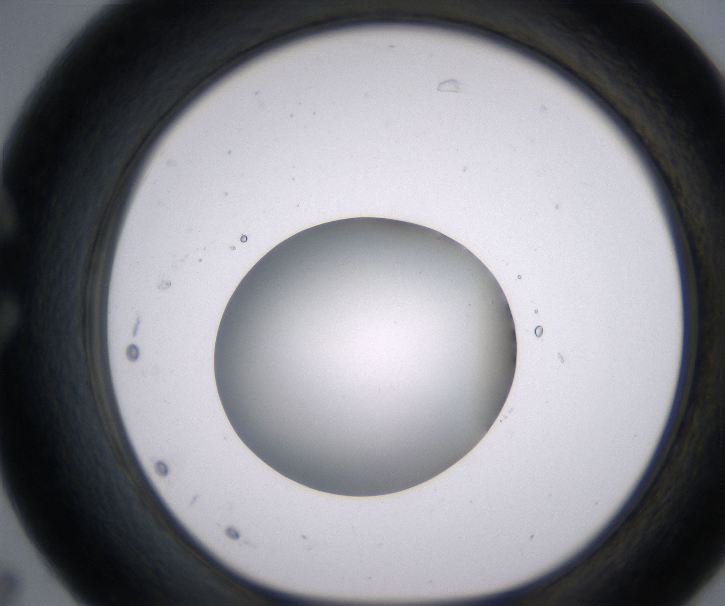 C7_HighResolution_Clear_1.jpg