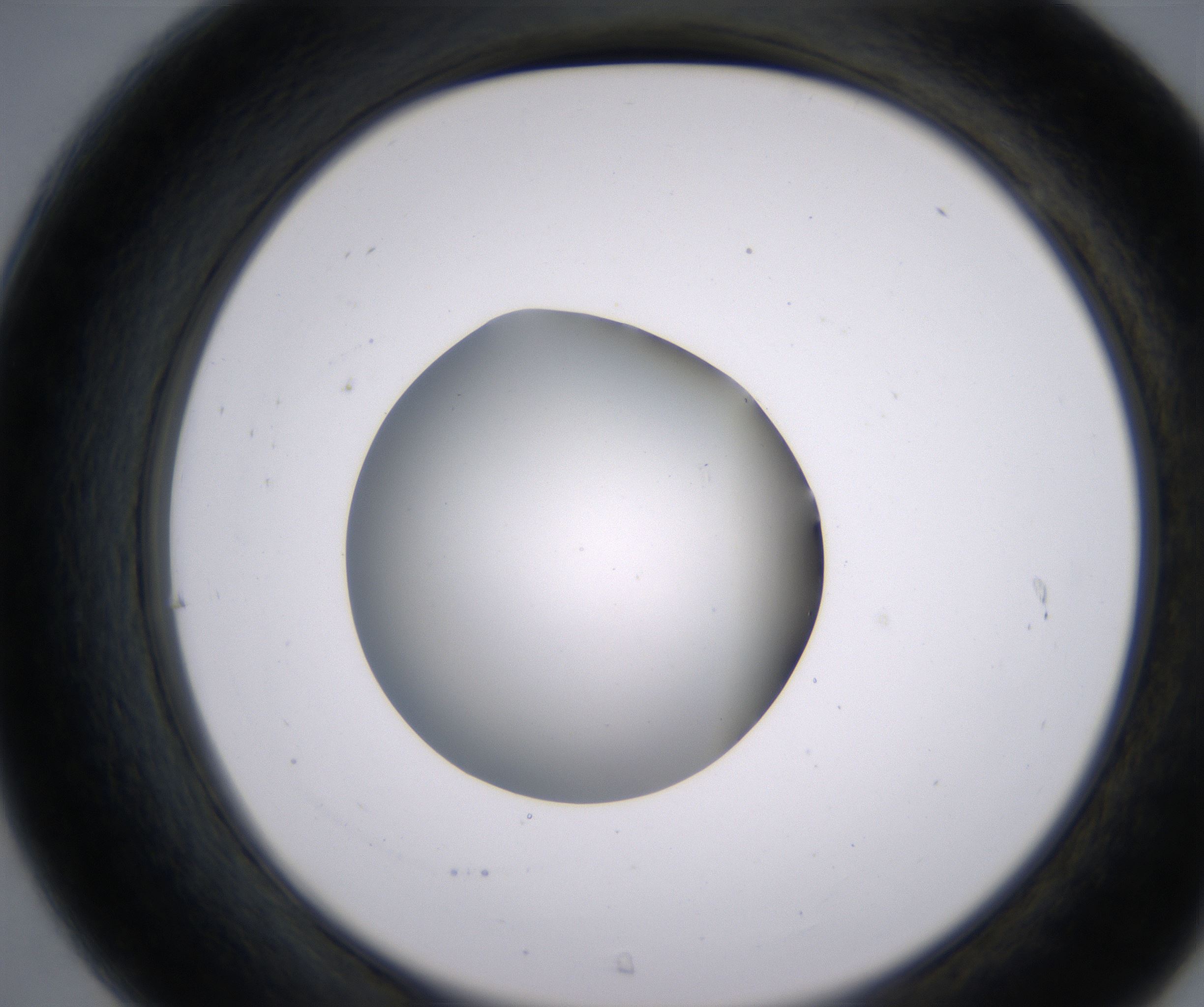 C7_HighResolution_Clear_2.jpg
