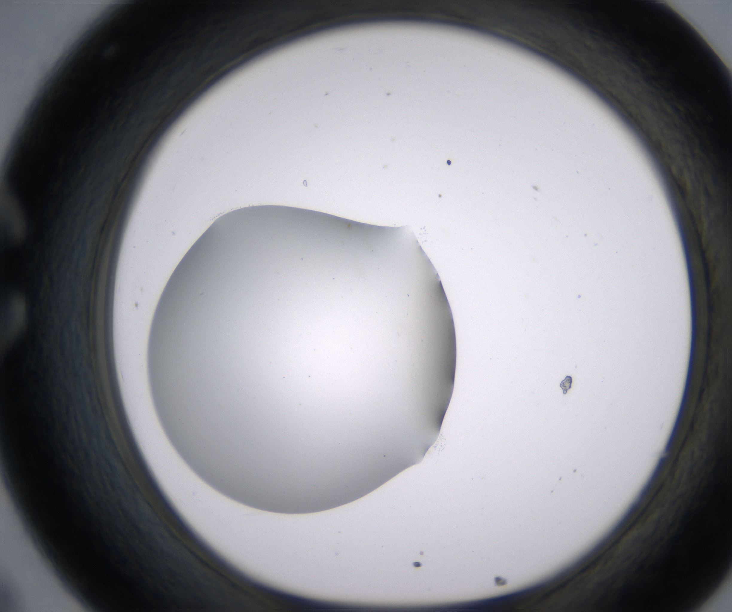 C8_HighResolution_Clear_1.jpg