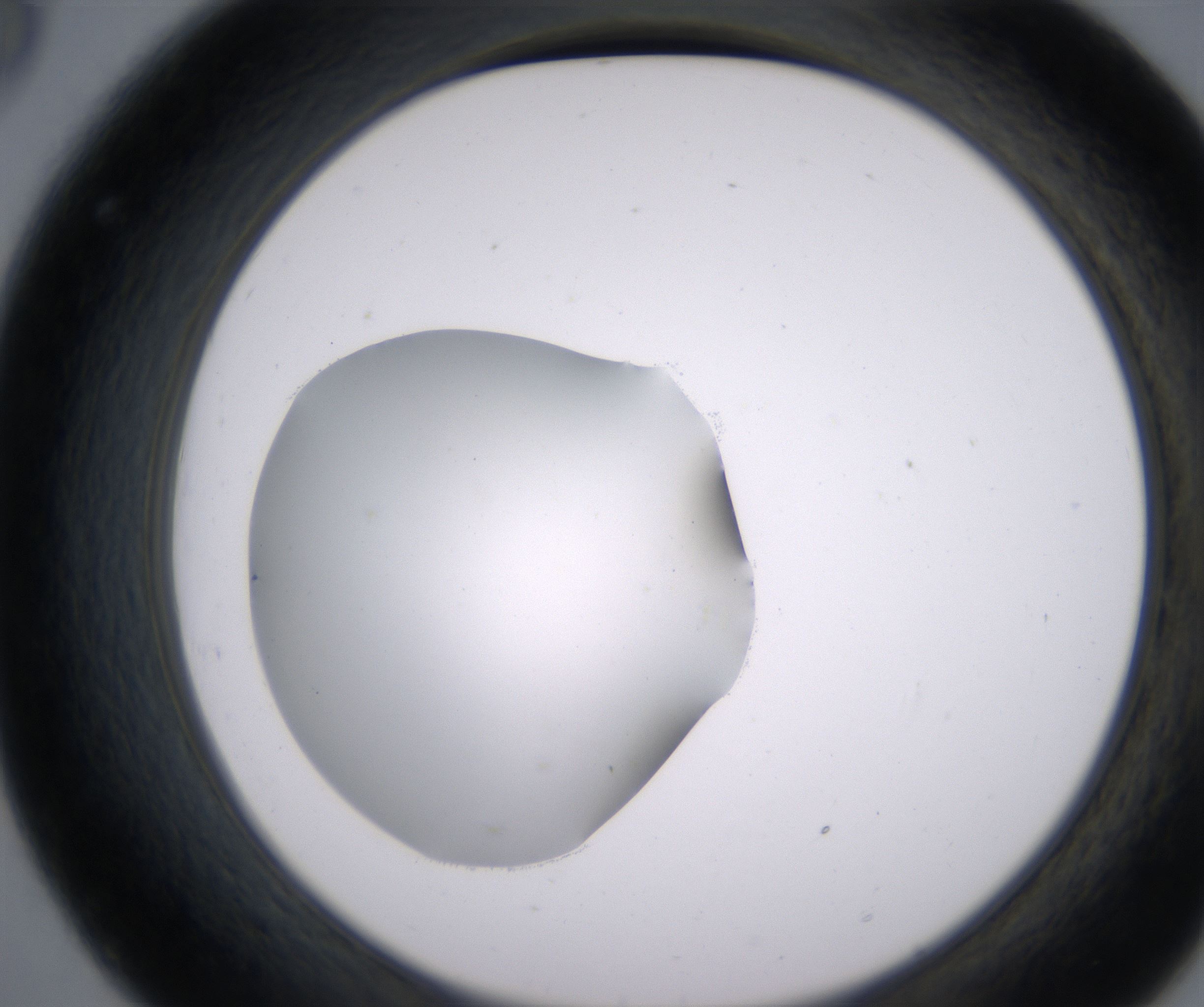 C8_HighResolution_Clear_2.jpg