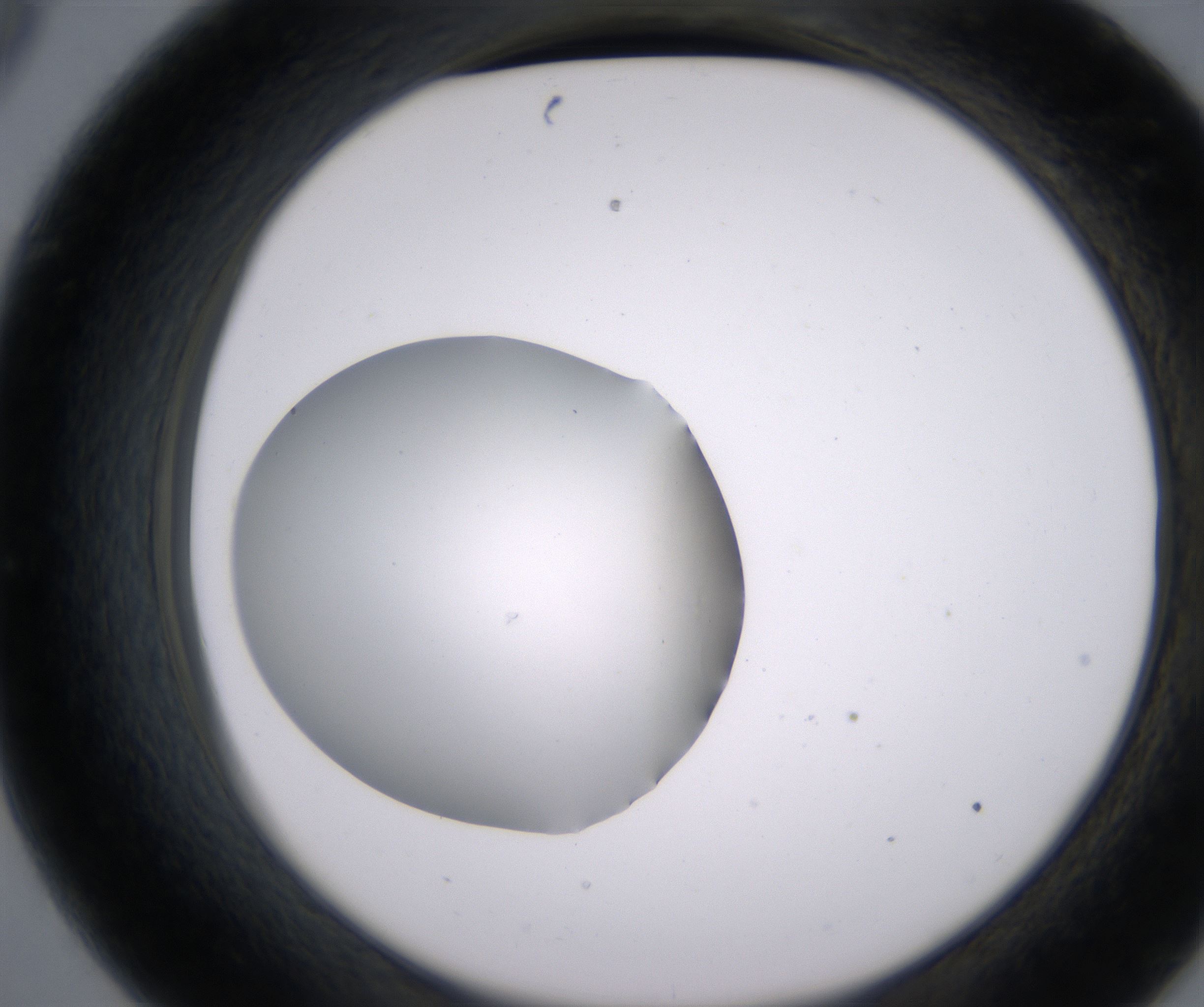 C9_HighResolution_Clear_2.jpg