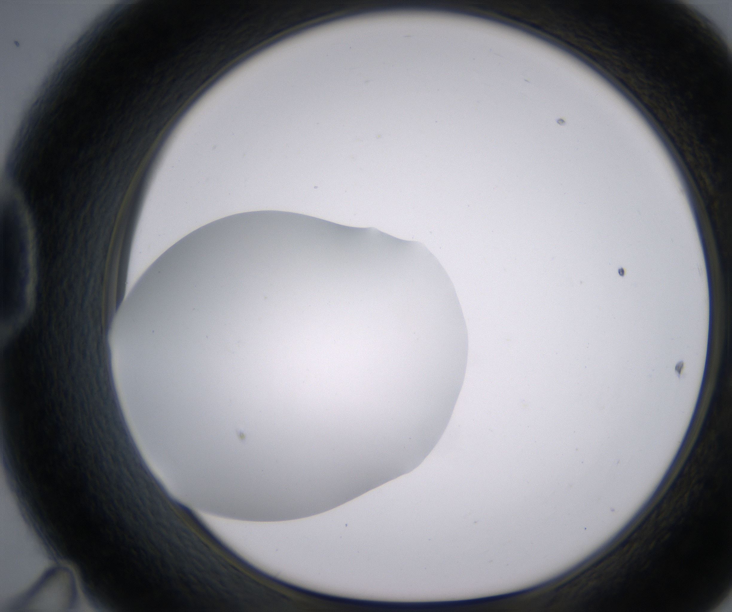 D11_HighResolution_Clear_1.jpg