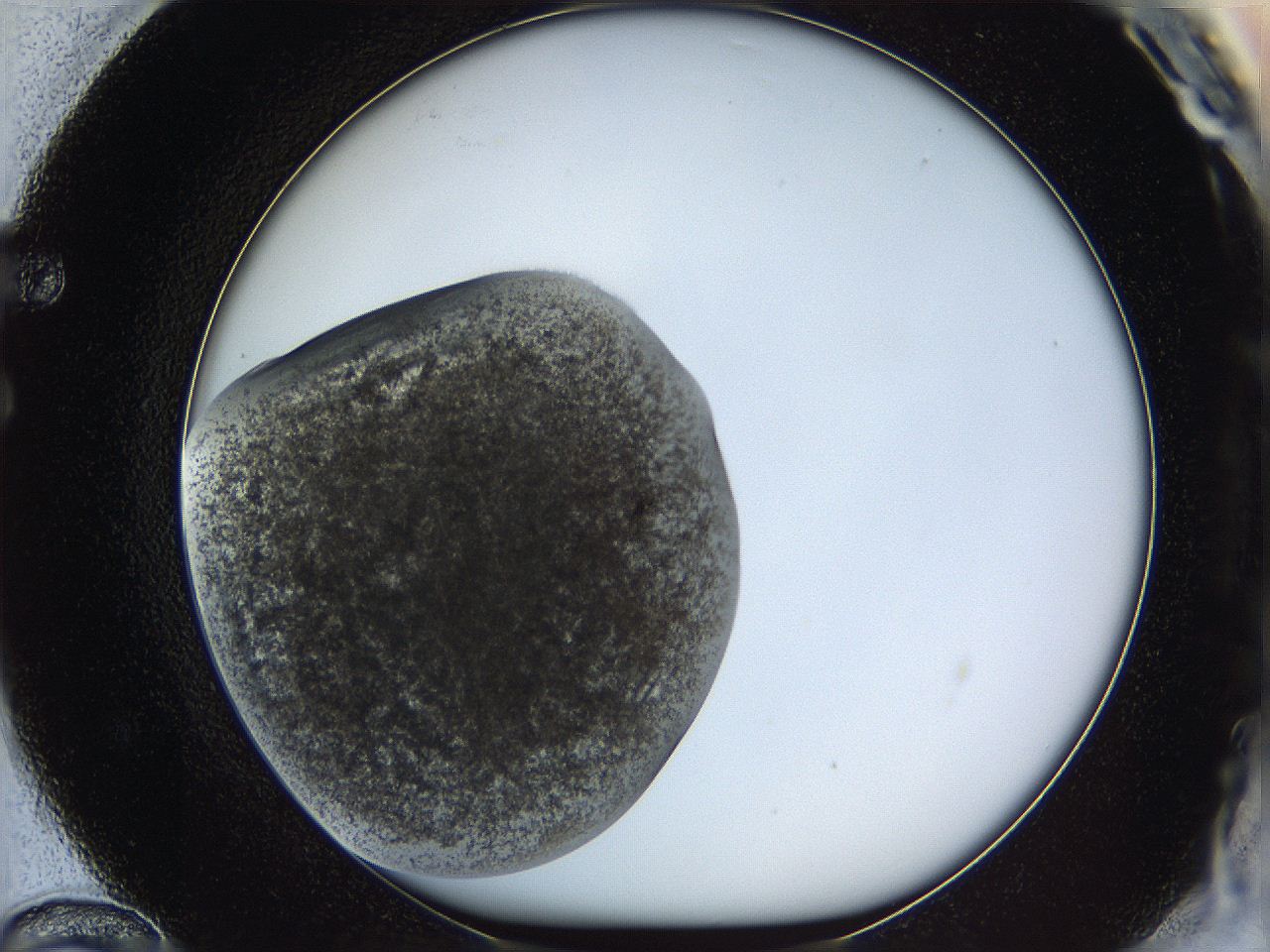 05k0_F12_ImagerDefaults_3.jpg