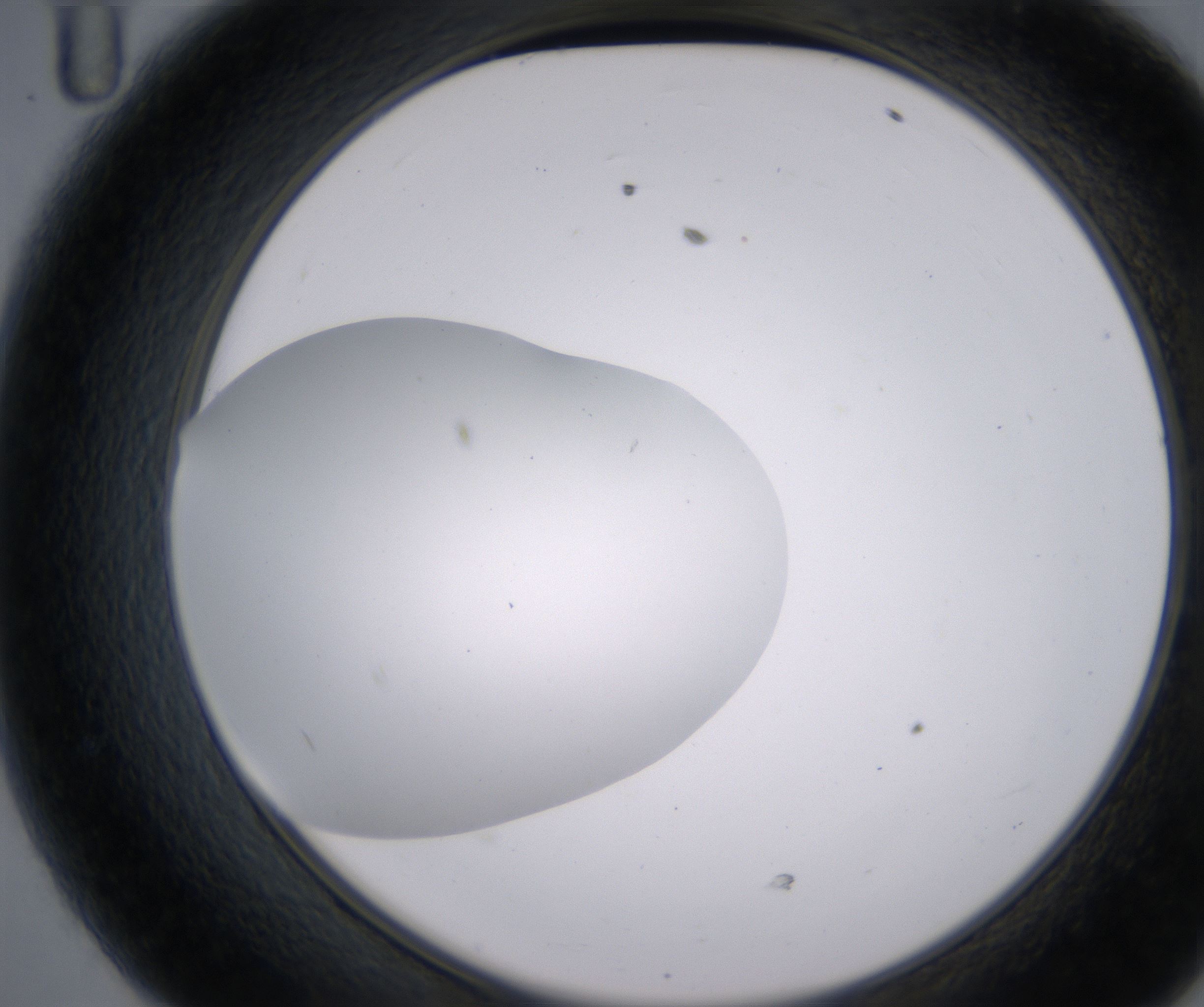 D11_HighResolution_Clear_2.jpg