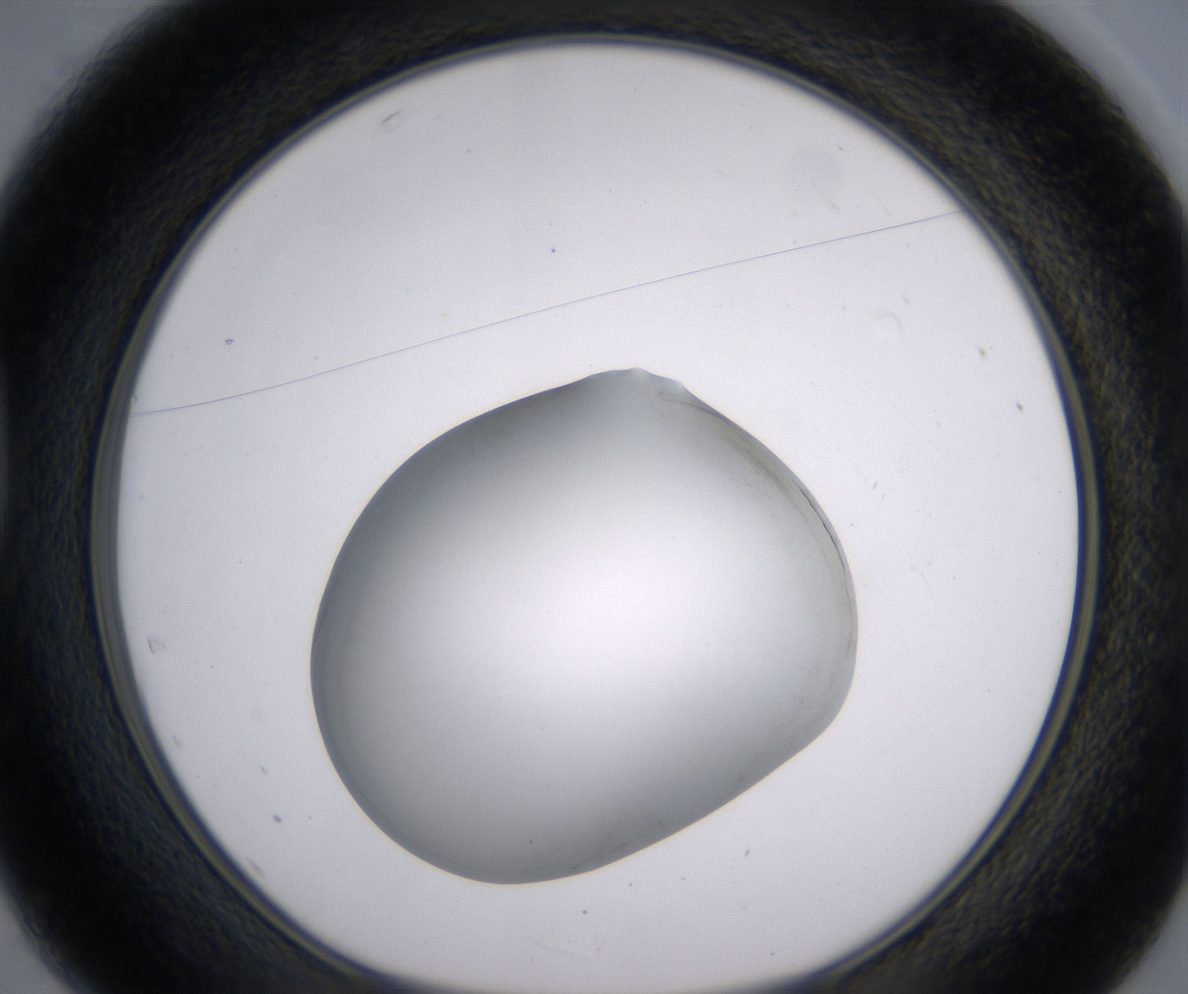 D1_HighResolution_Clear_1.jpg