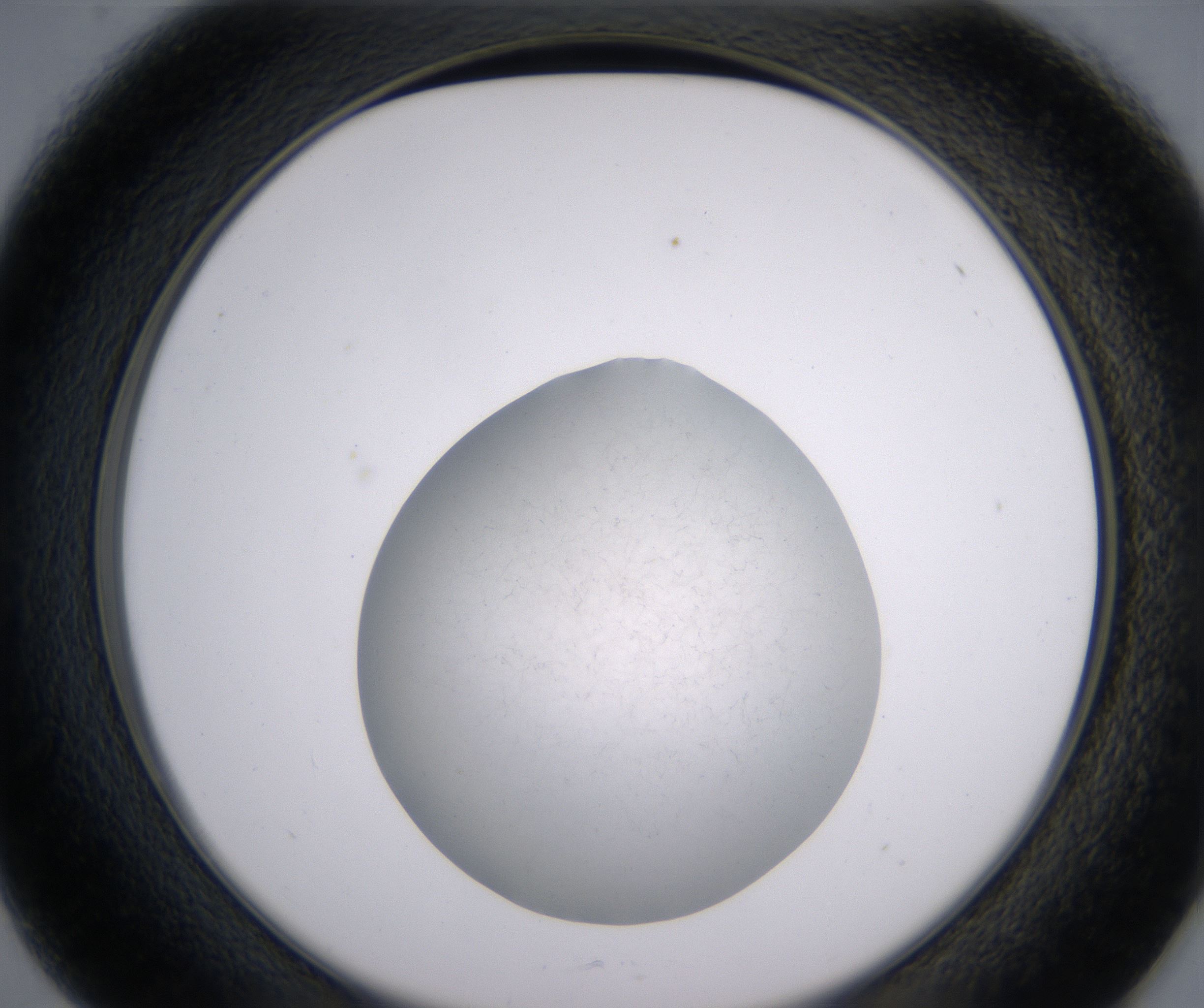 D1_HighResolution_Precipitate_2.jpg