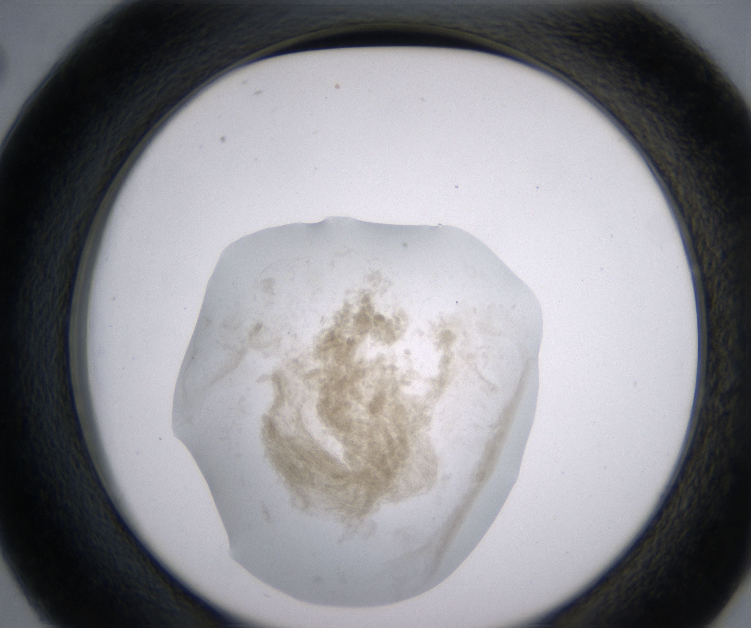 D2_HighResolution_Precipitate_2.jpg