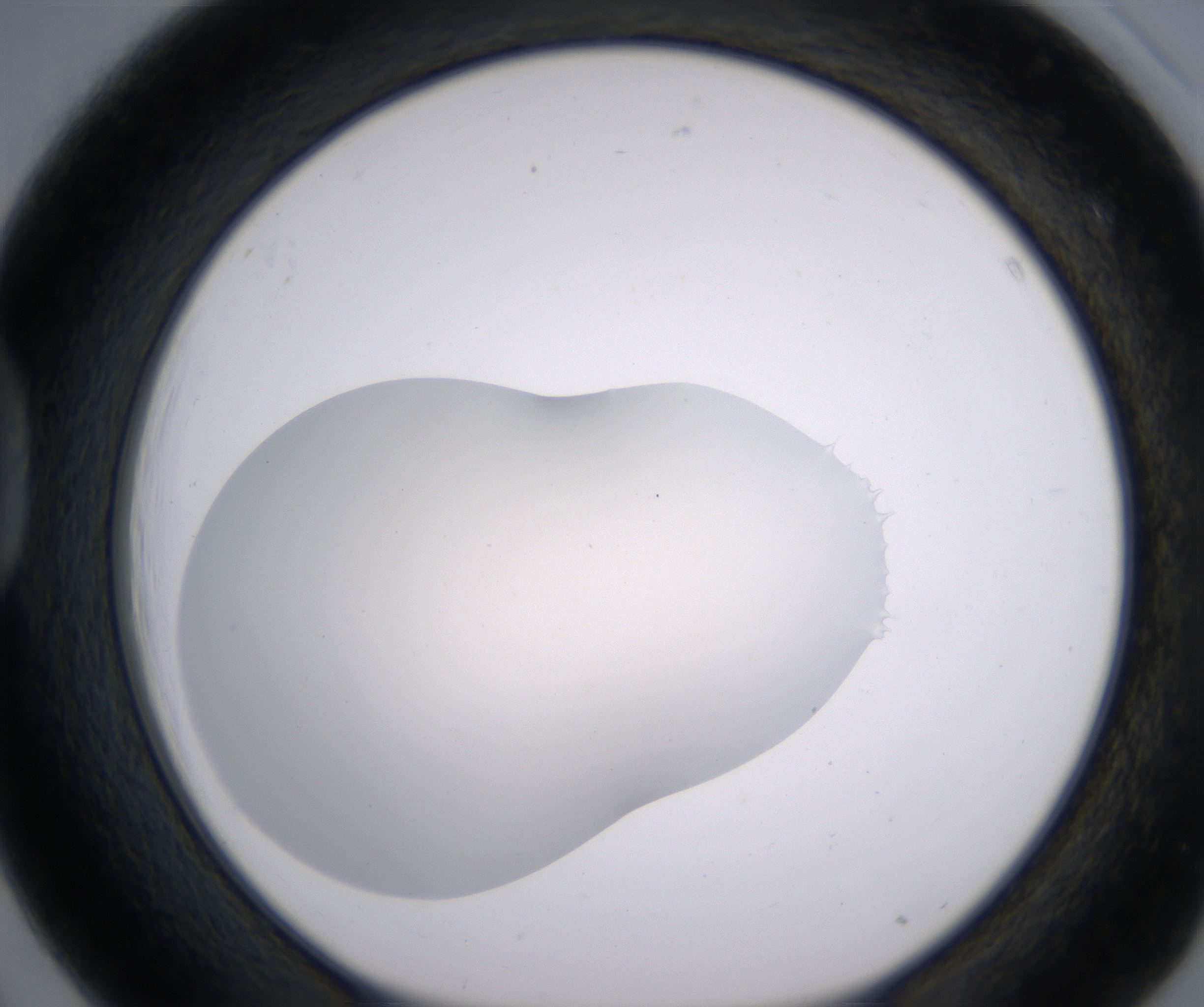D3_HighResolution_Clear_1.jpg