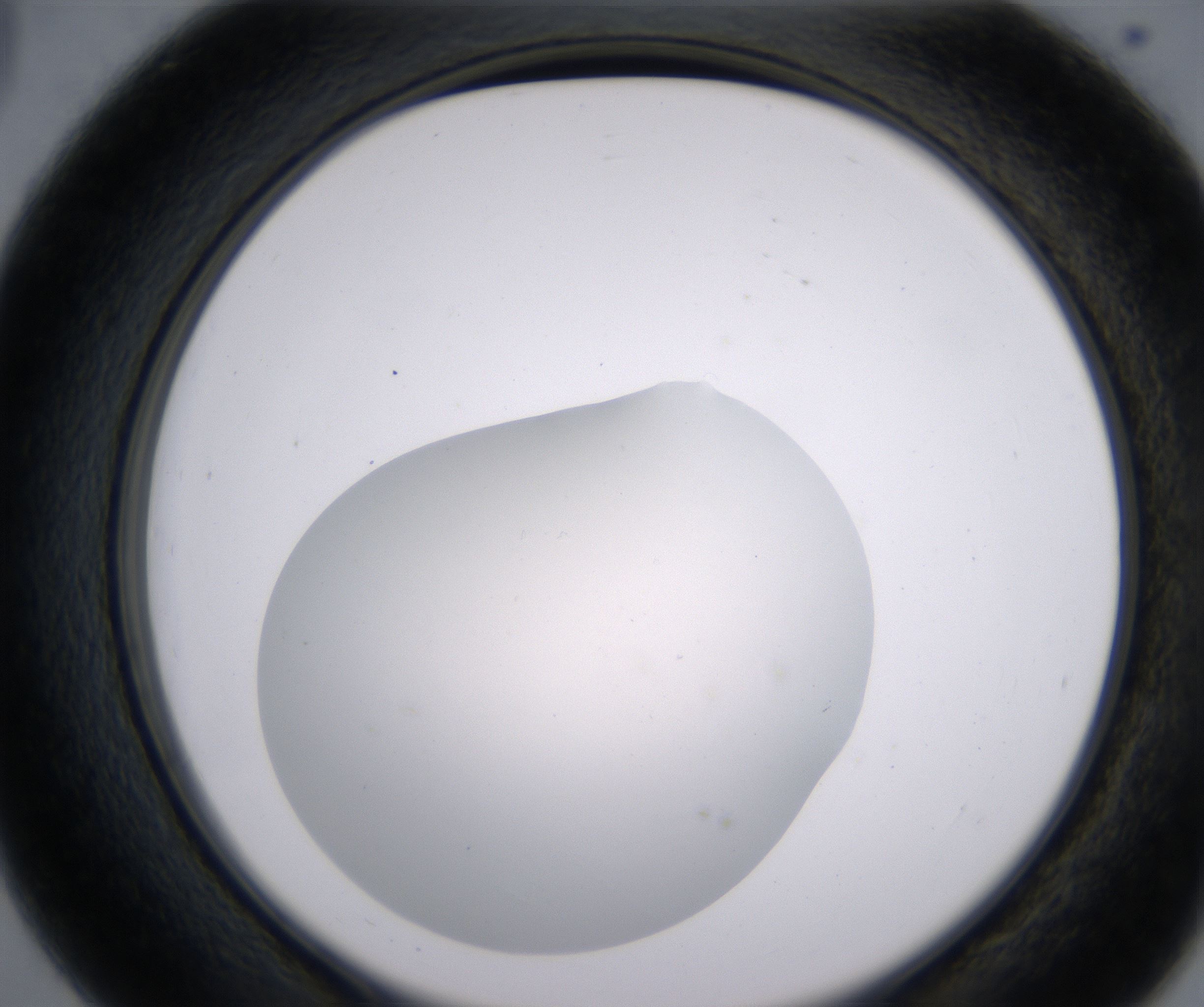 D3_HighResolution_Clear_2.jpg