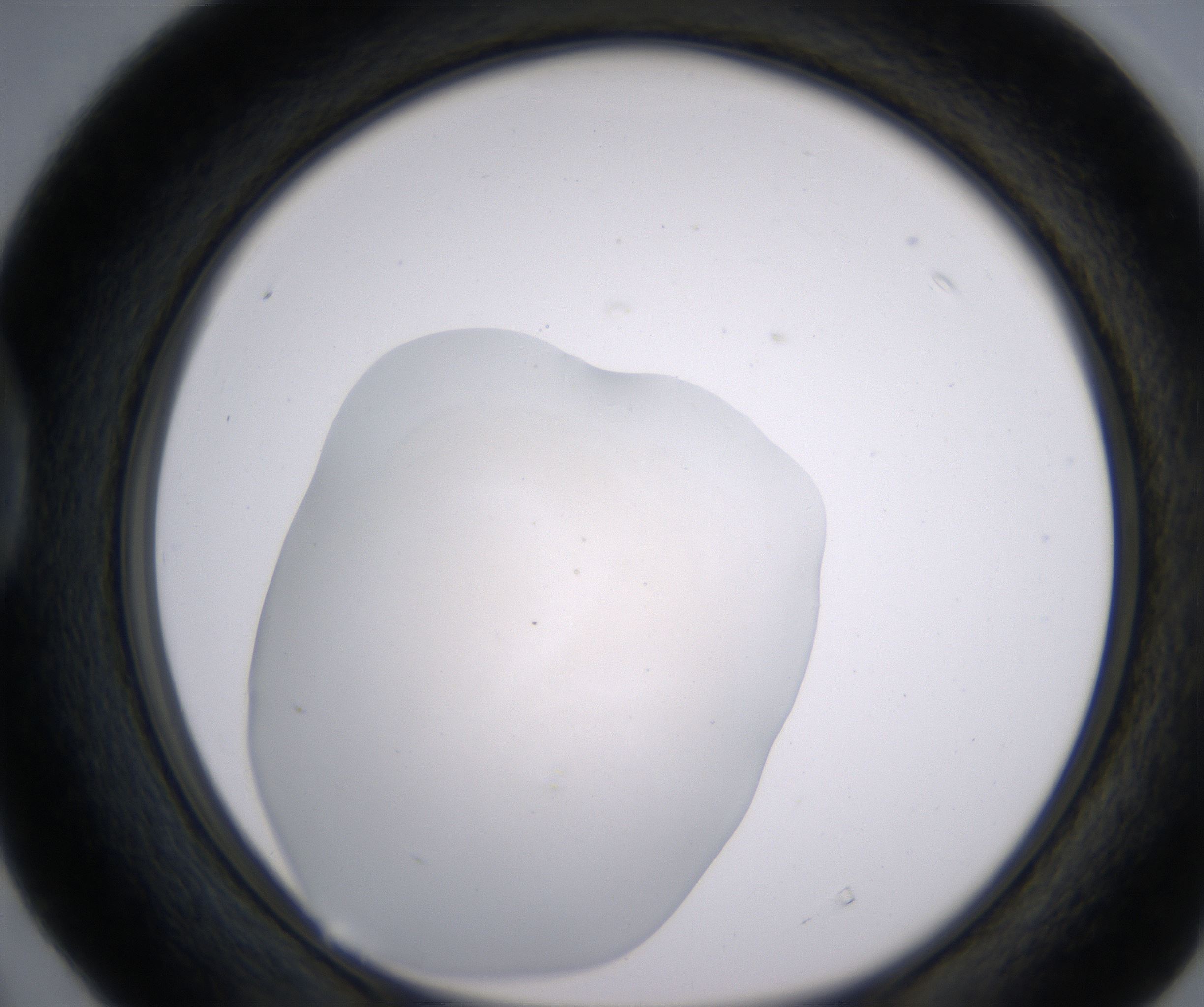 D4_HighResolution_Clear_1.jpg