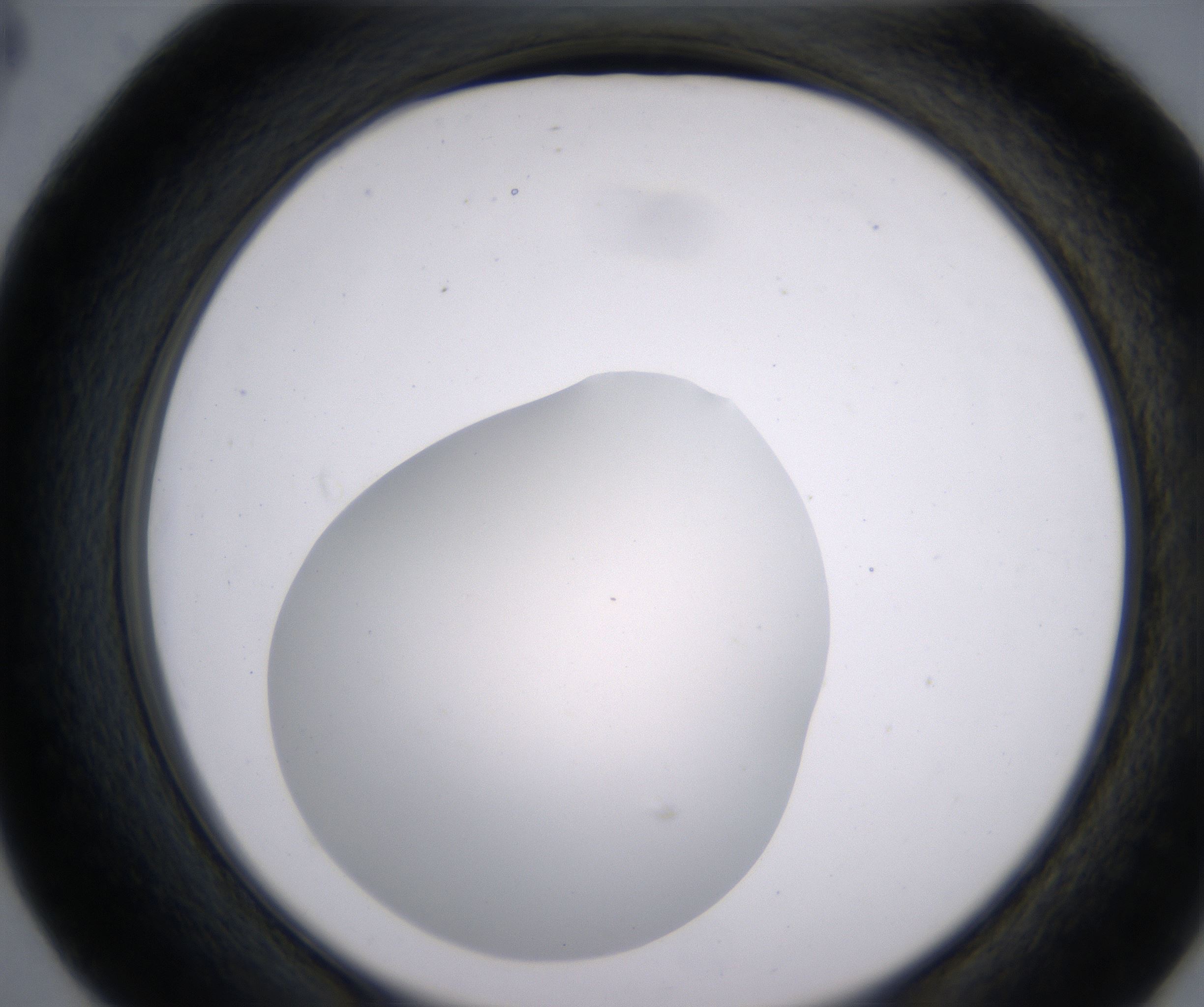 D4_HighResolution_Clear_2.jpg