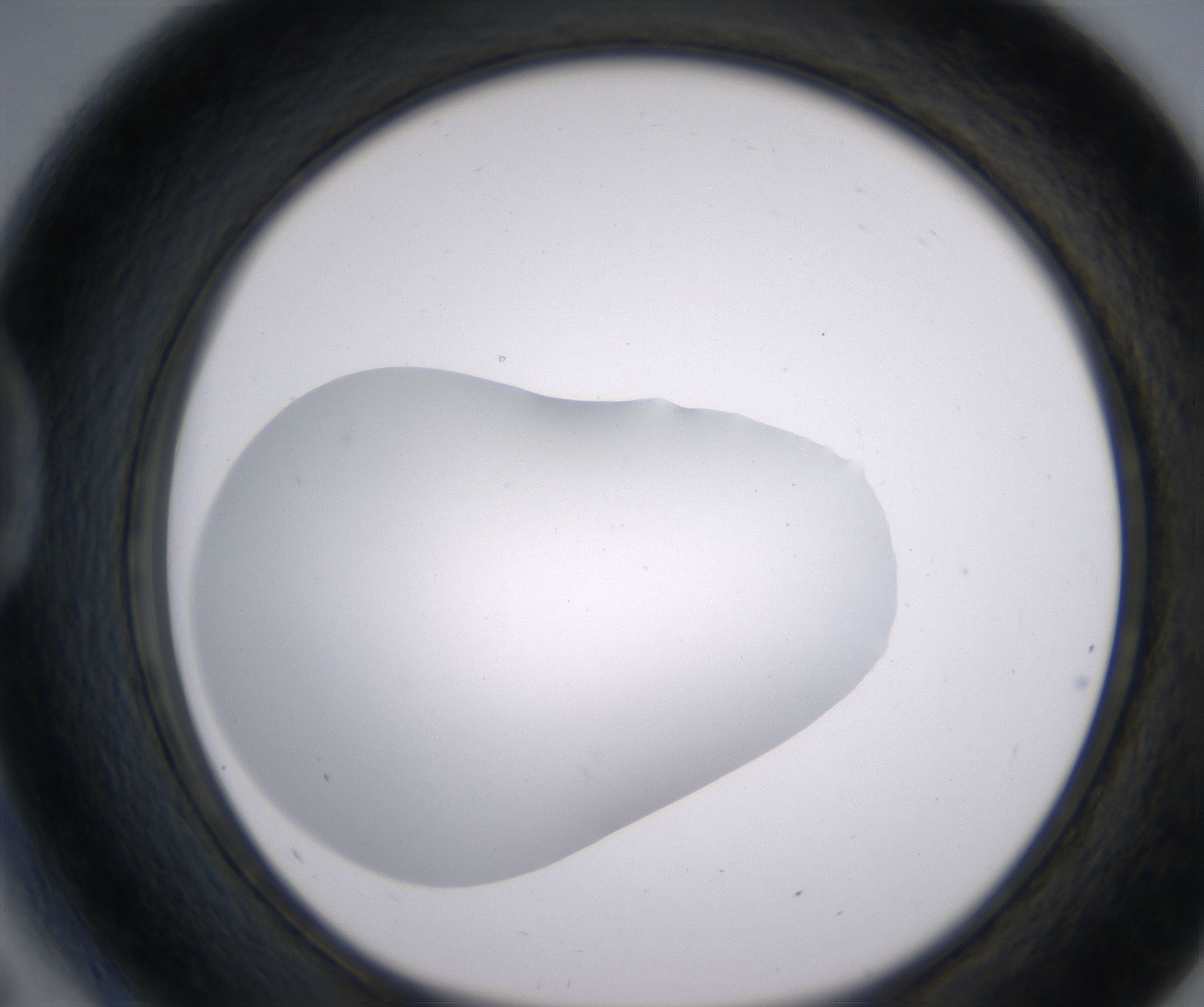 D5_HighResolution_Clear_1.jpg
