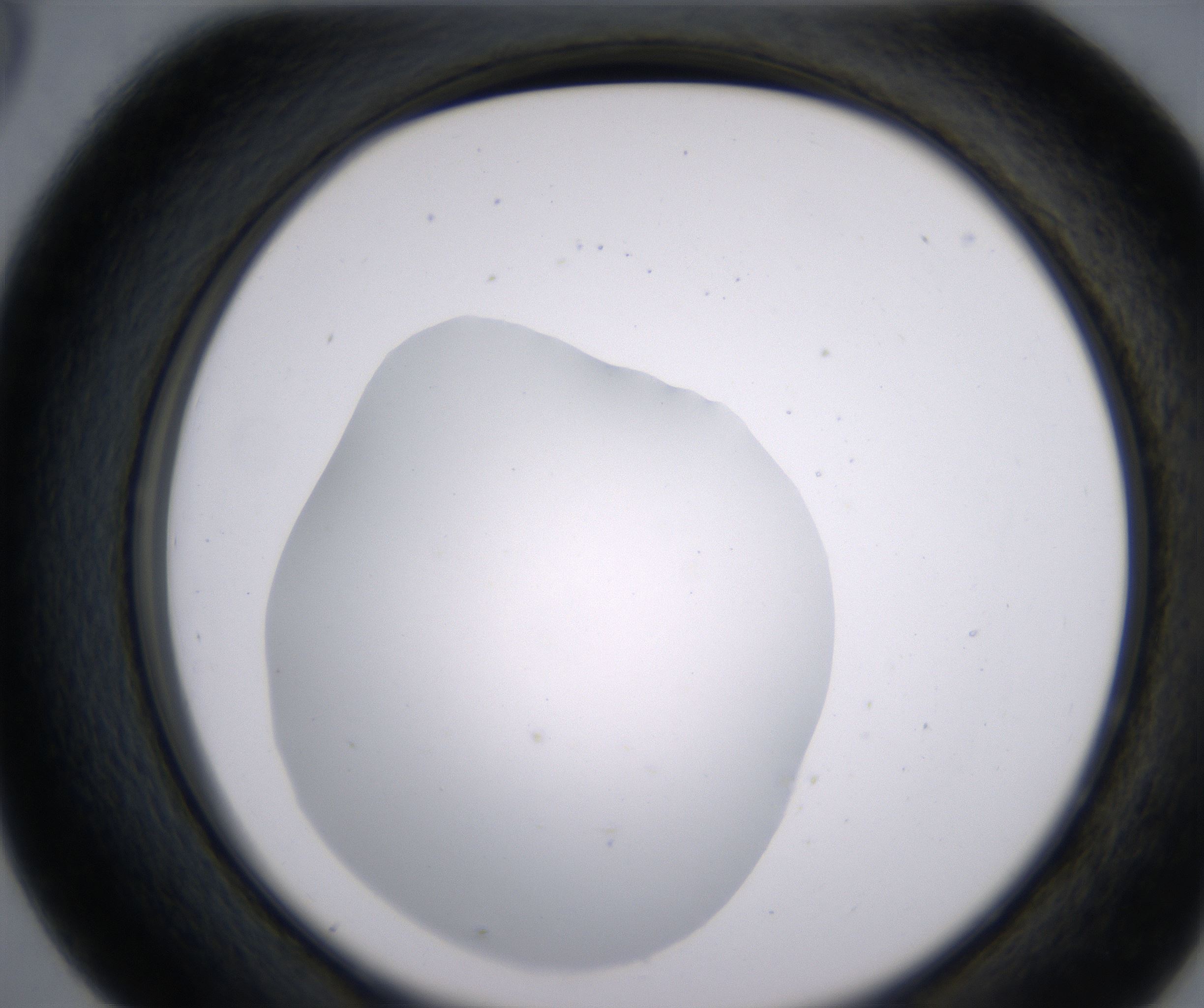 D5_HighResolution_Clear_2.jpg
