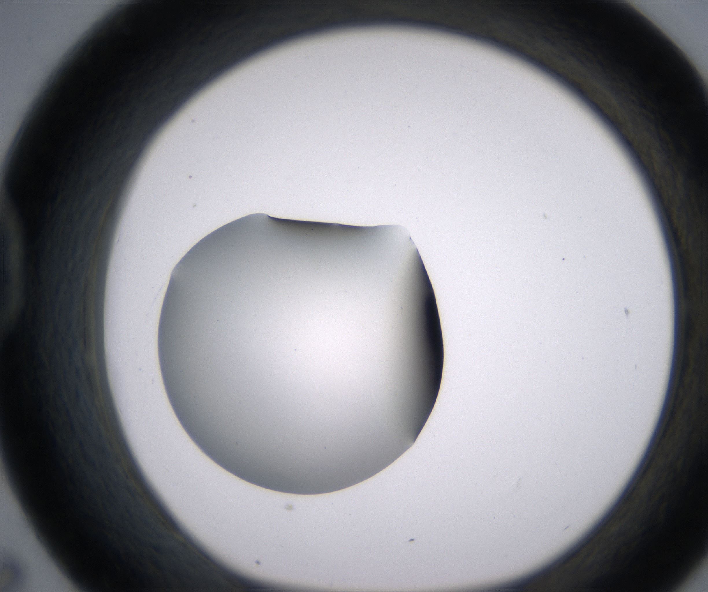 D7_HighResolution_Clear_1.jpg