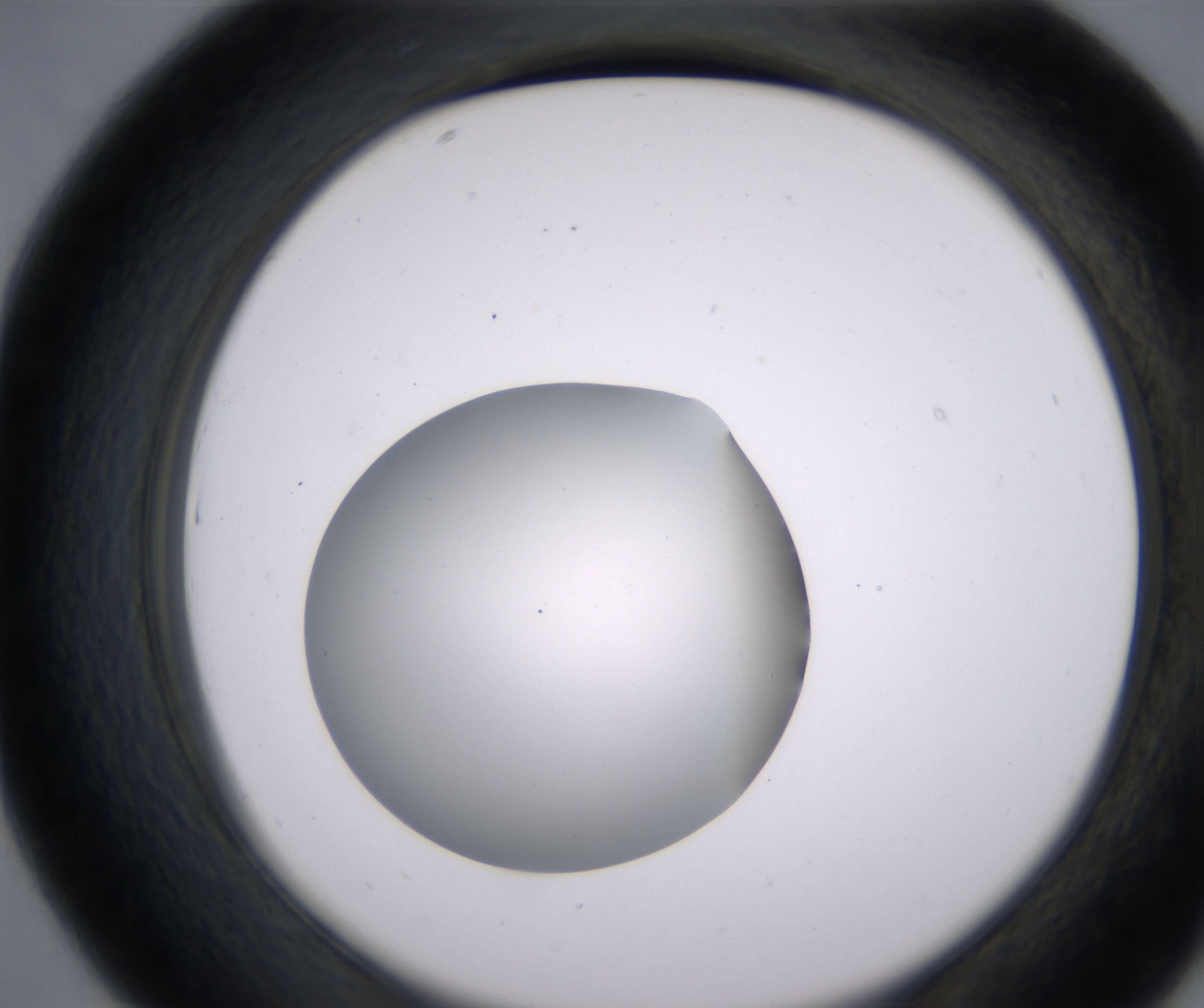 D7_HighResolution_Clear_2.jpg