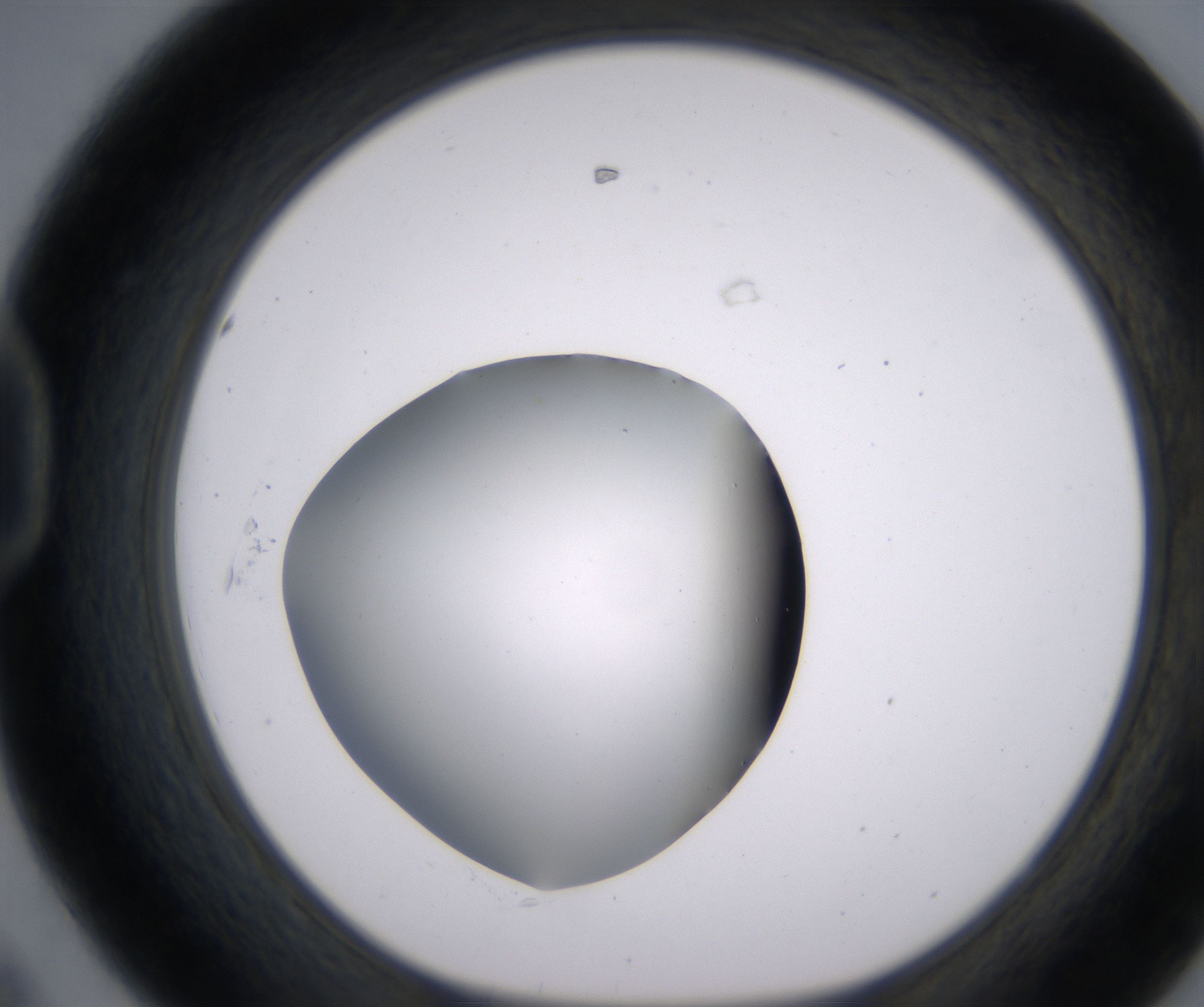 D8_HighResolution_Clear_1.jpg