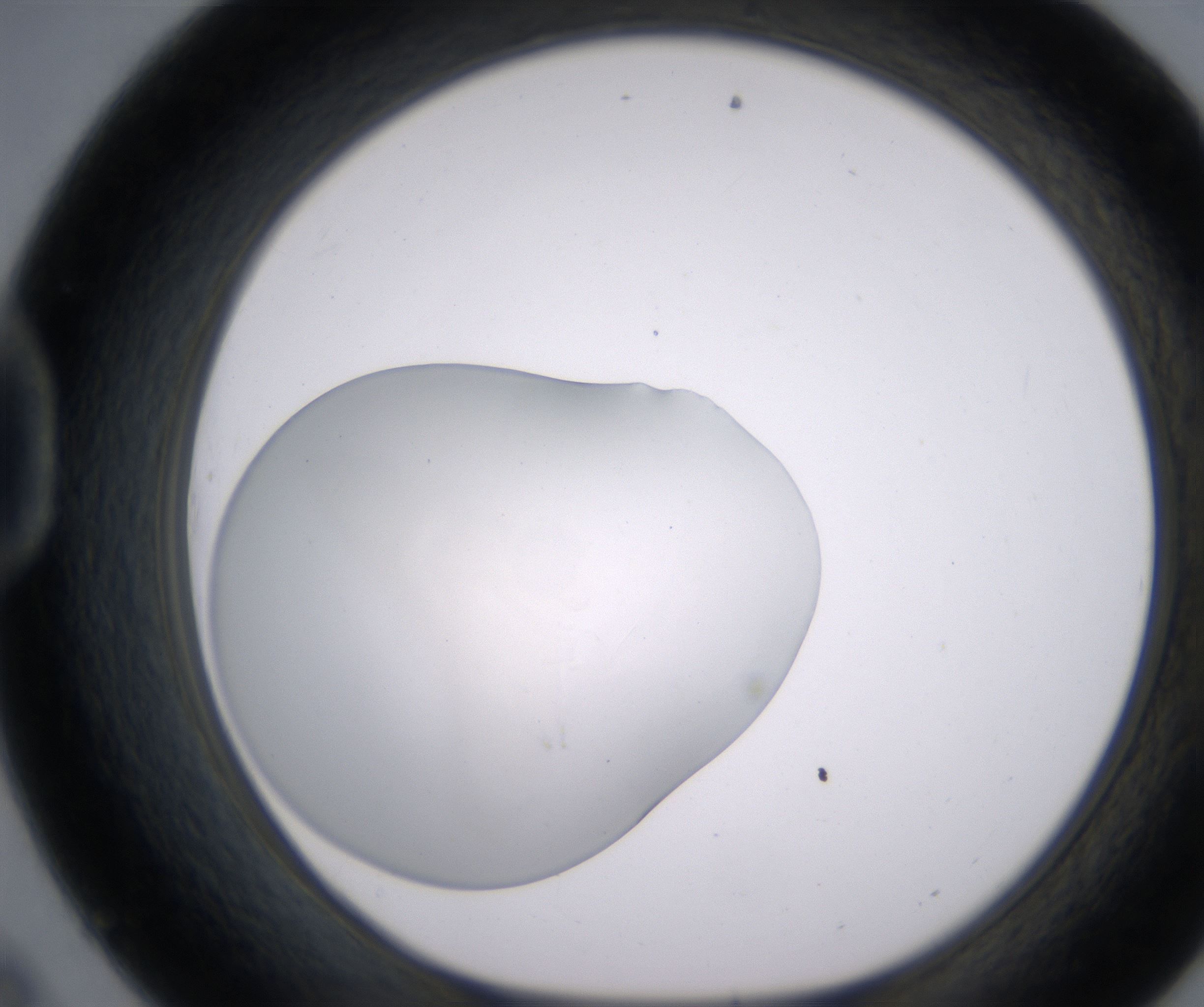 D9_HighResolution_Clear_1.jpg