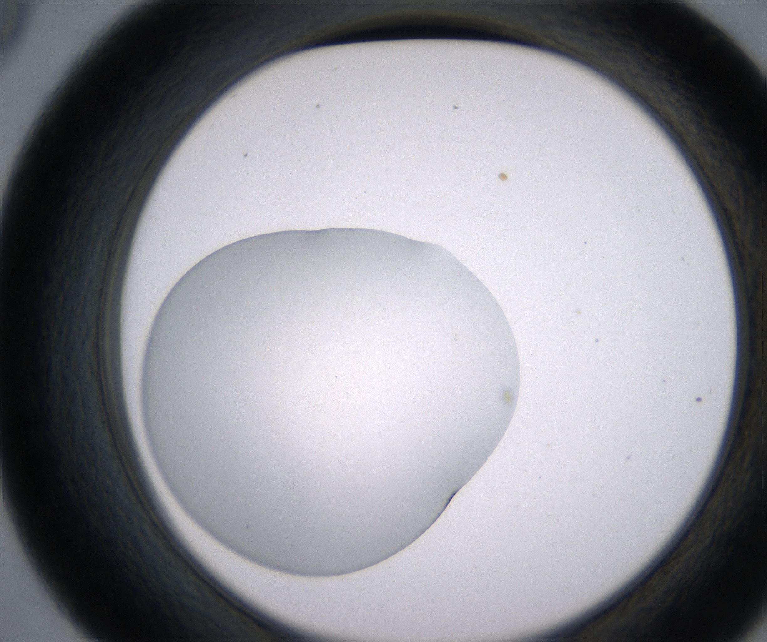 D9_HighResolution_Clear_2.jpg